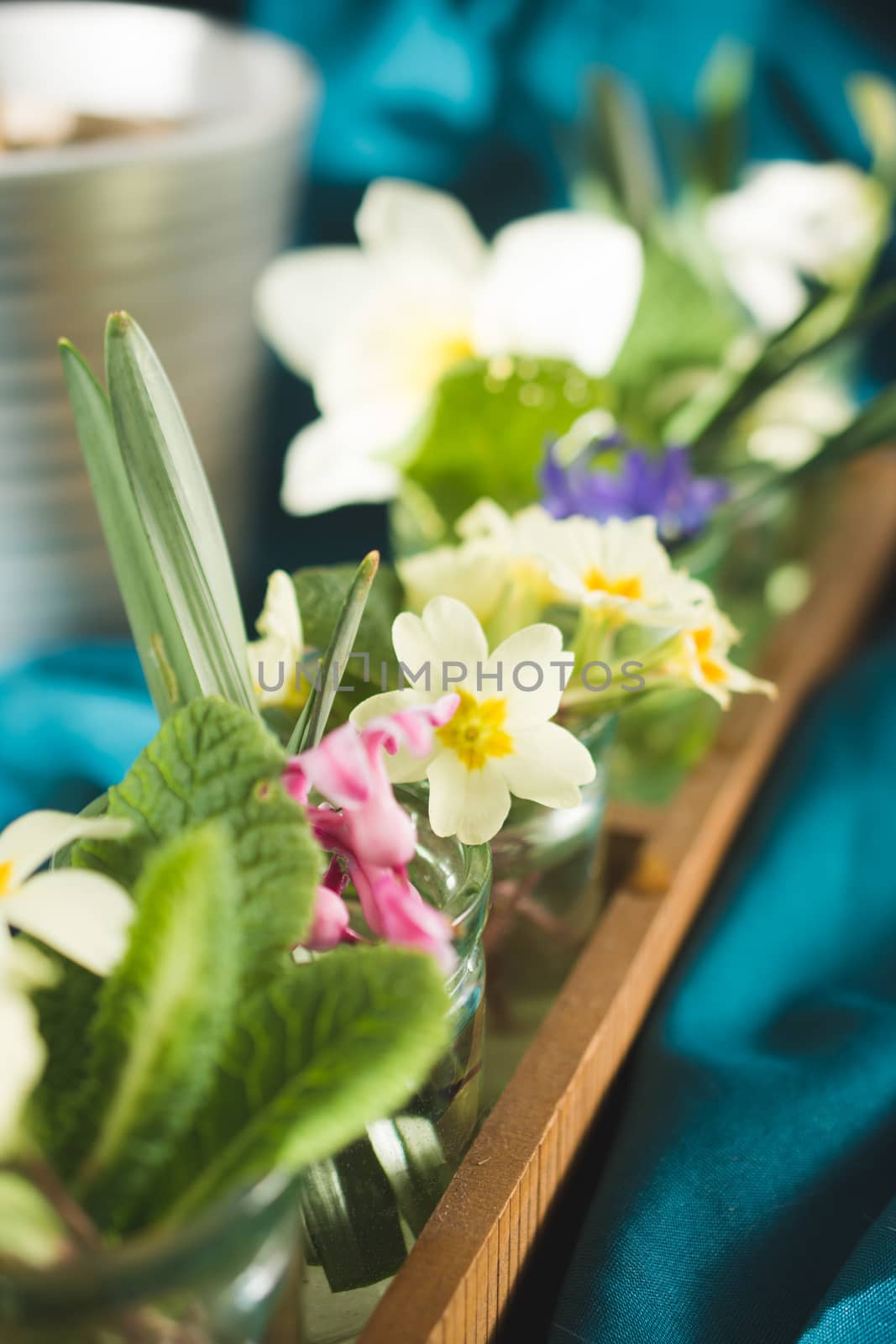 Spring flowers in little glass jars on a table.