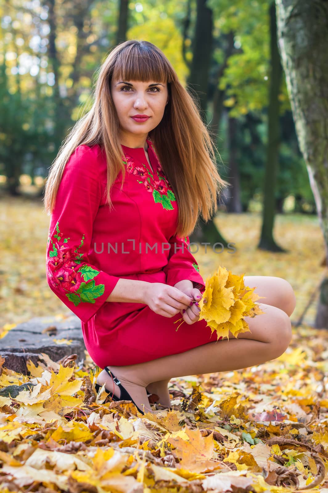 portrait of a beautiful, girl with long straight hair in a red short dress in the park in autumn