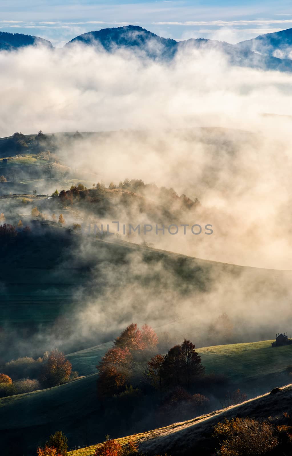 mountain rural area in foggy autumn morning by Pellinni