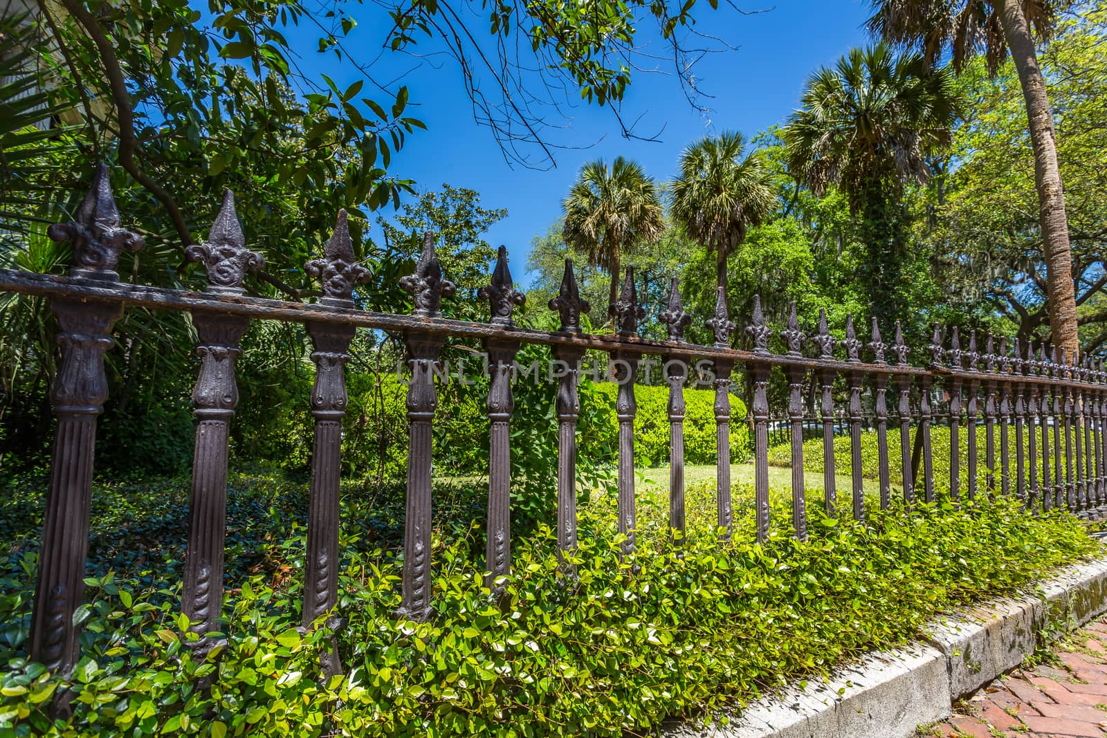 An old ironwork fence in the downtown historic district of Savannah, Georgia.