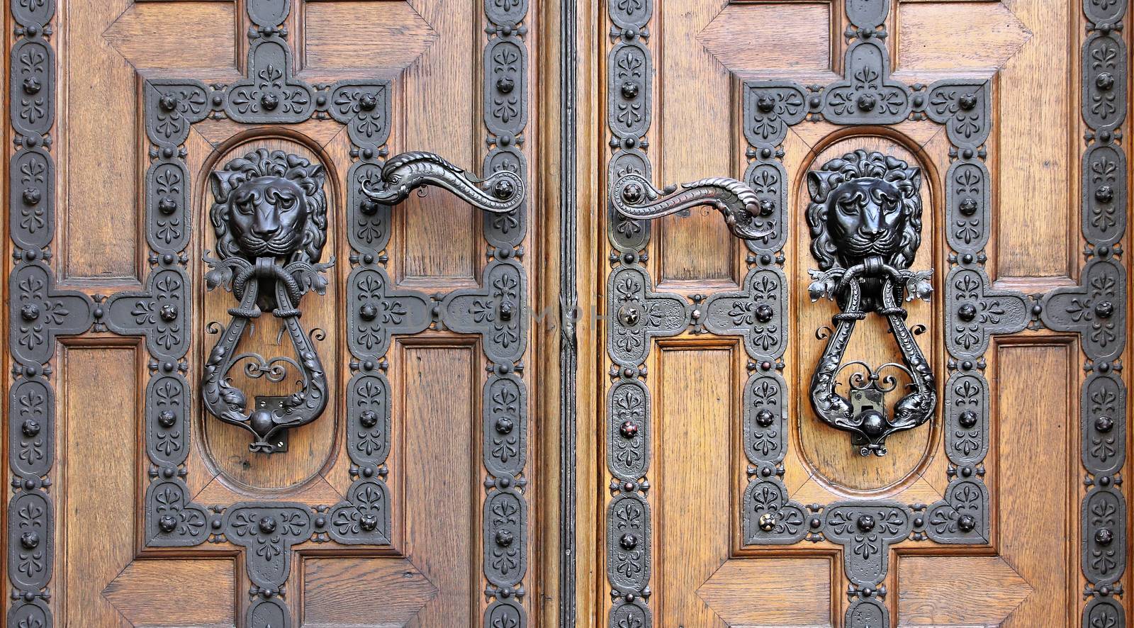 Antique ornaments lion head door knocker
