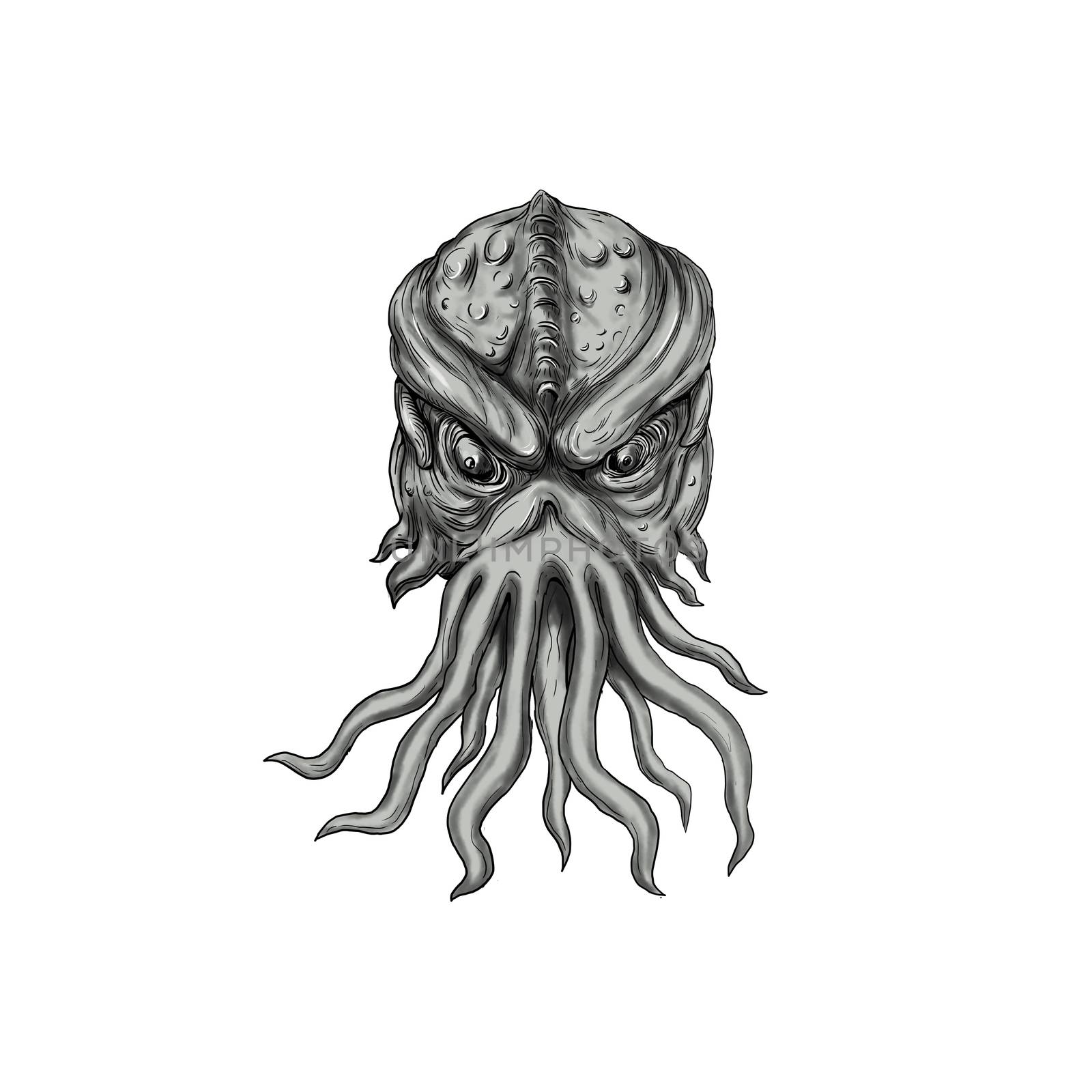 Tattoo style illustration of a head of a subterranean mythical sea monster with octopus-like head whose face has tentacles or feeler viewed from front set on isolated white background. 