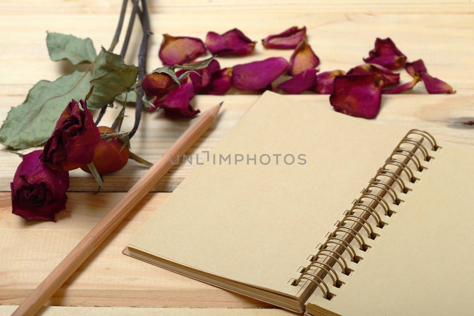 Empty notebook and dry roses with pencil on old wood by phalakon