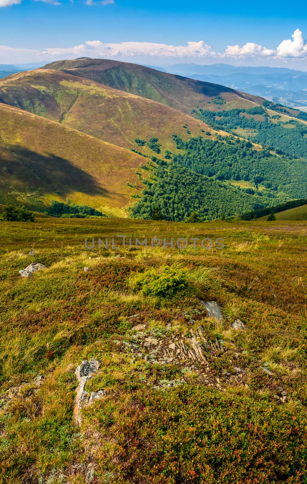 Carpathian Mountain Range in late summer by Pellinni