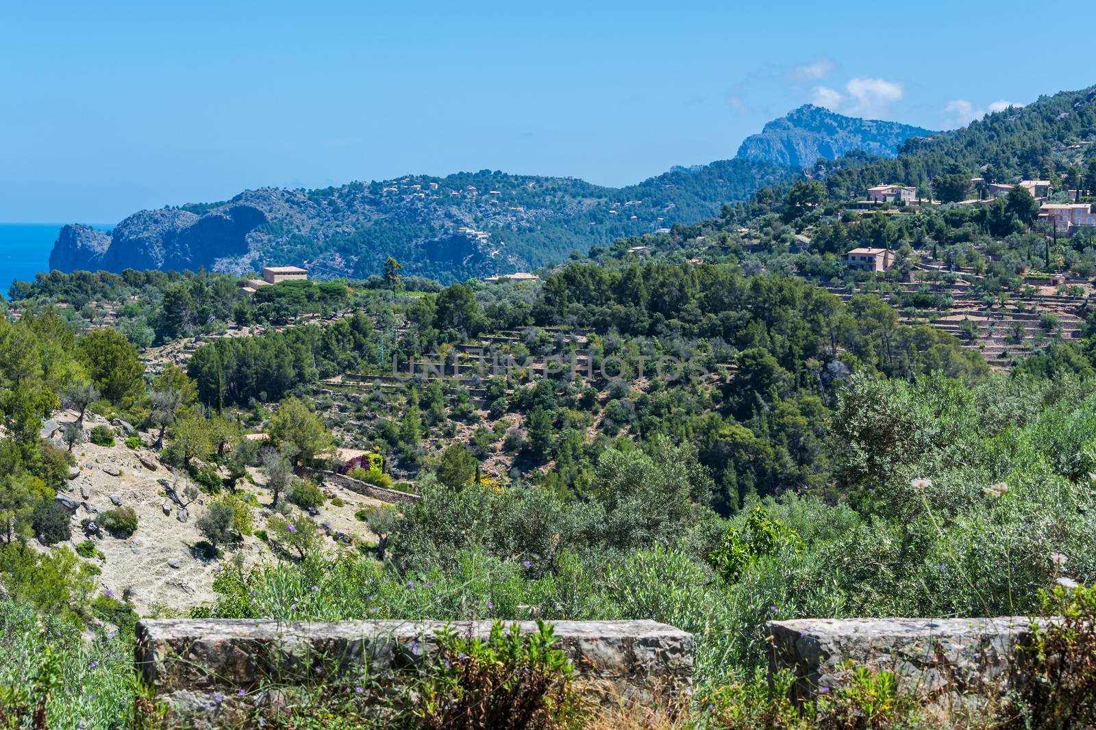 Wild West Coastline of Mallorca, Spain in the background the Mediterranean Sea.