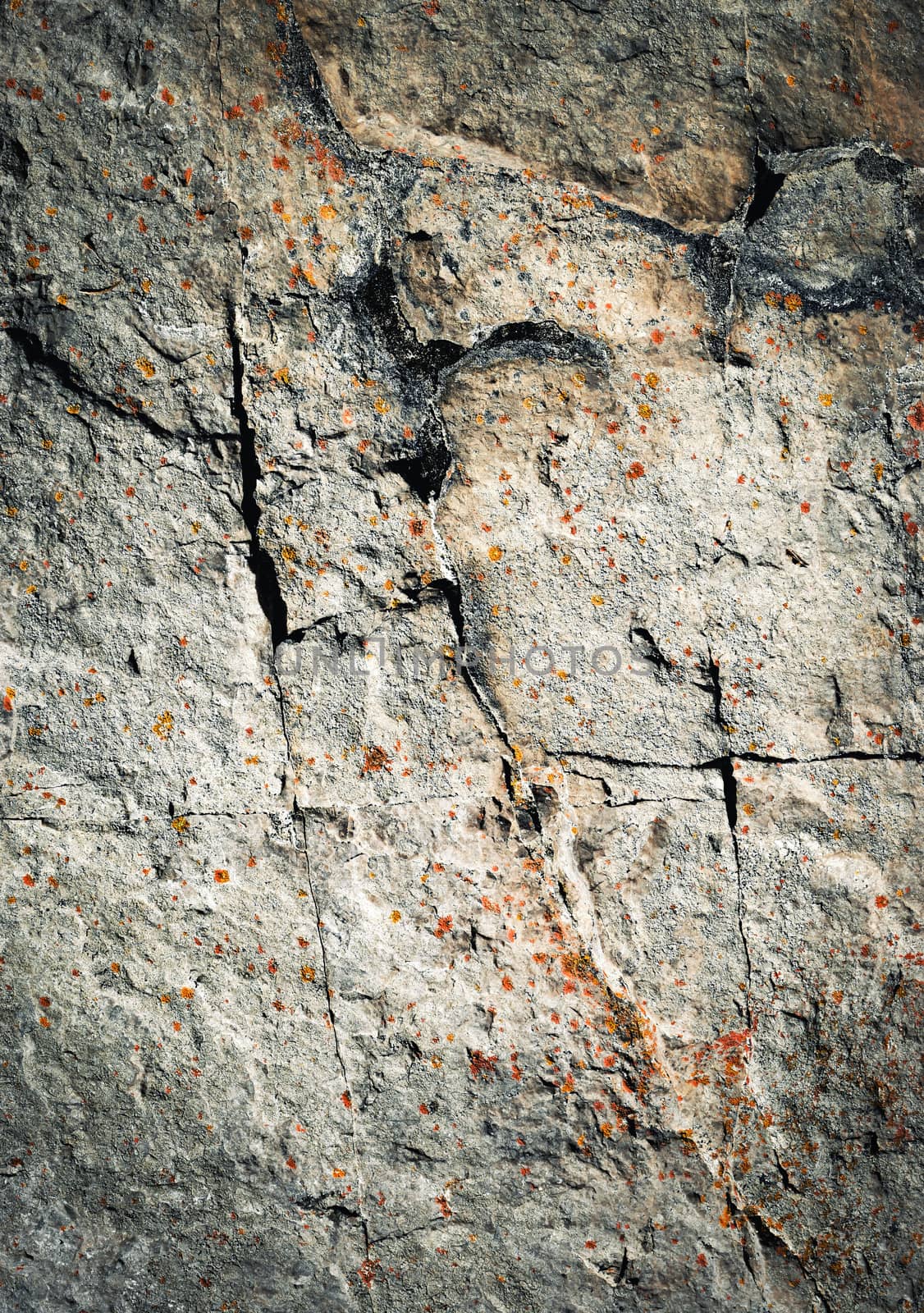 abstract background or texture dark fissures on limestone rock