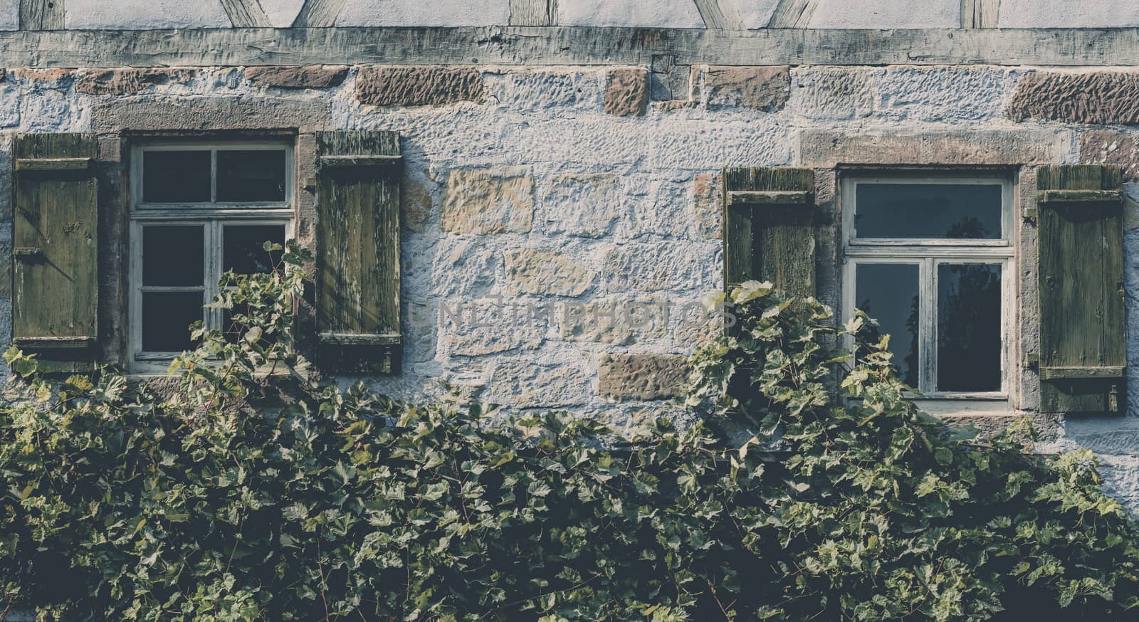 Traditional german house facade with two wooden windows and shutters, a stone wall and covered with grape vines