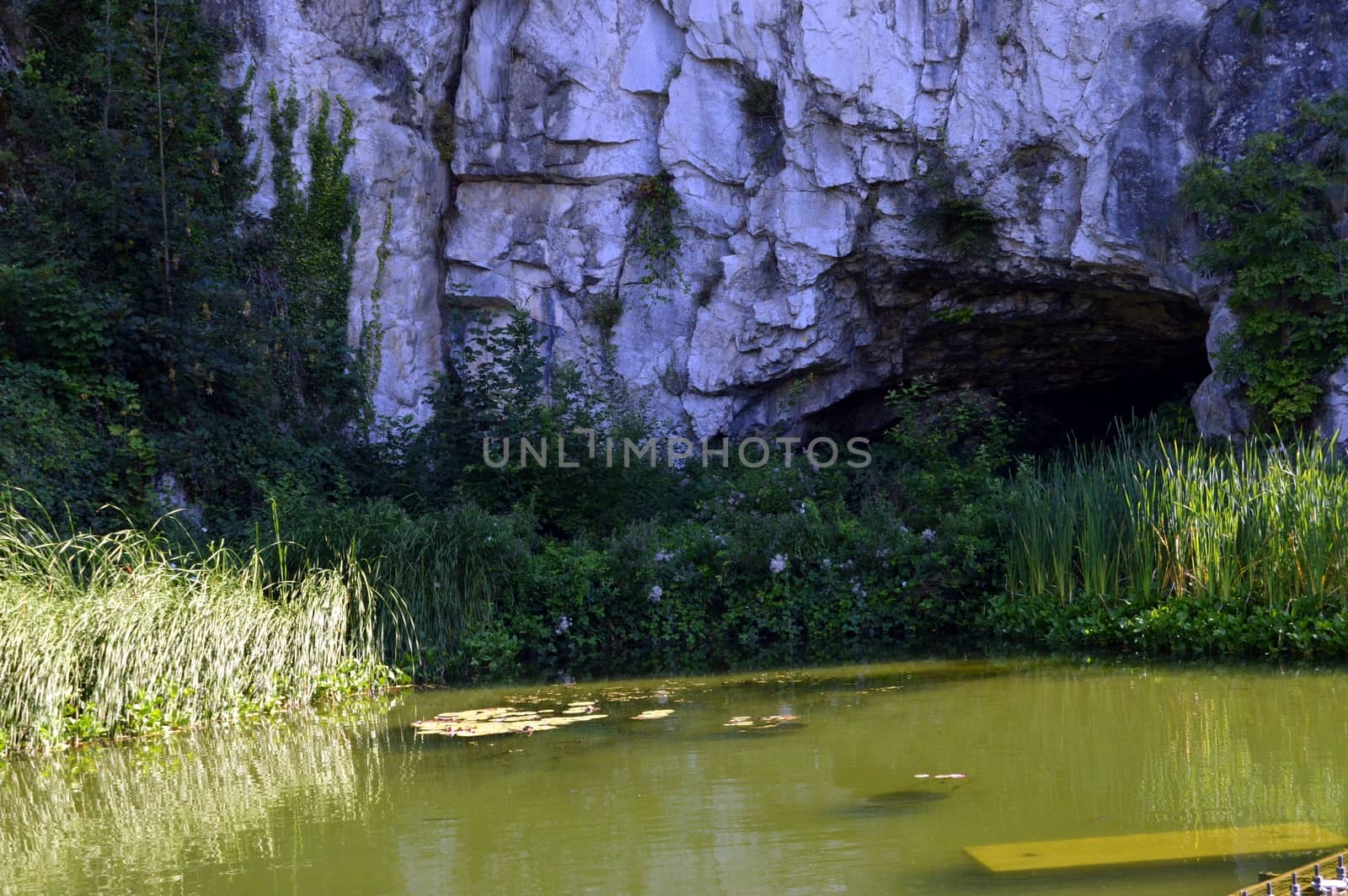 Cave with an ornamental lake containing a shady water, reeds and water lilies.