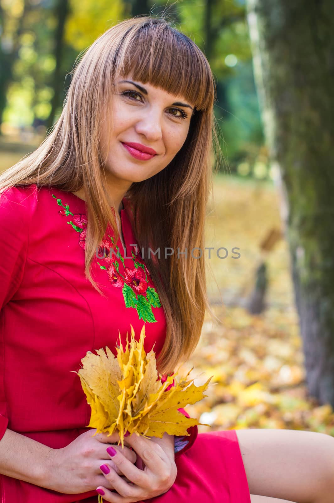 portrait of a beautiful, girl with long straight hair in a red short dress in the park in autumn