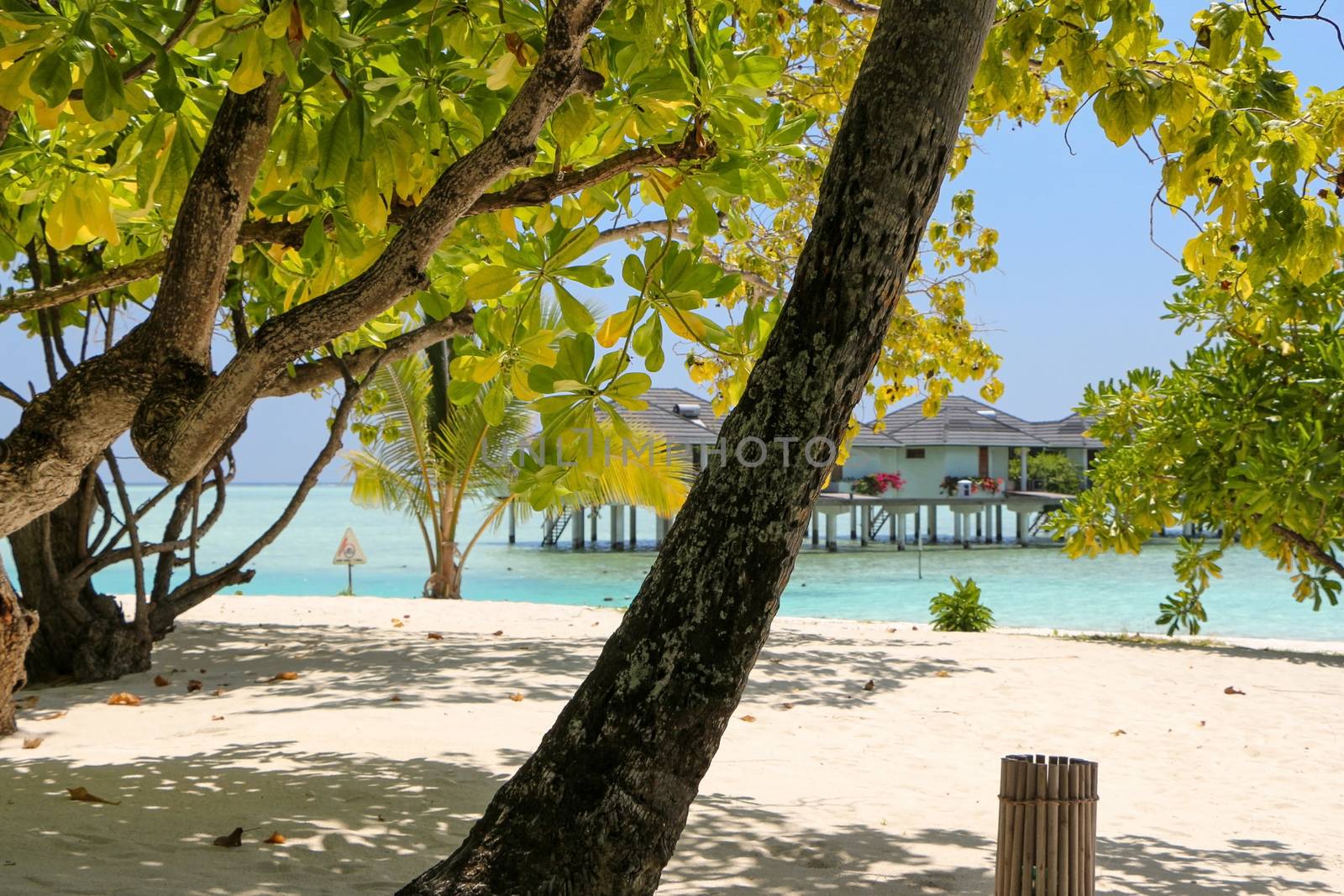 bungalows on a white beach with coconut palms on Maldives Island