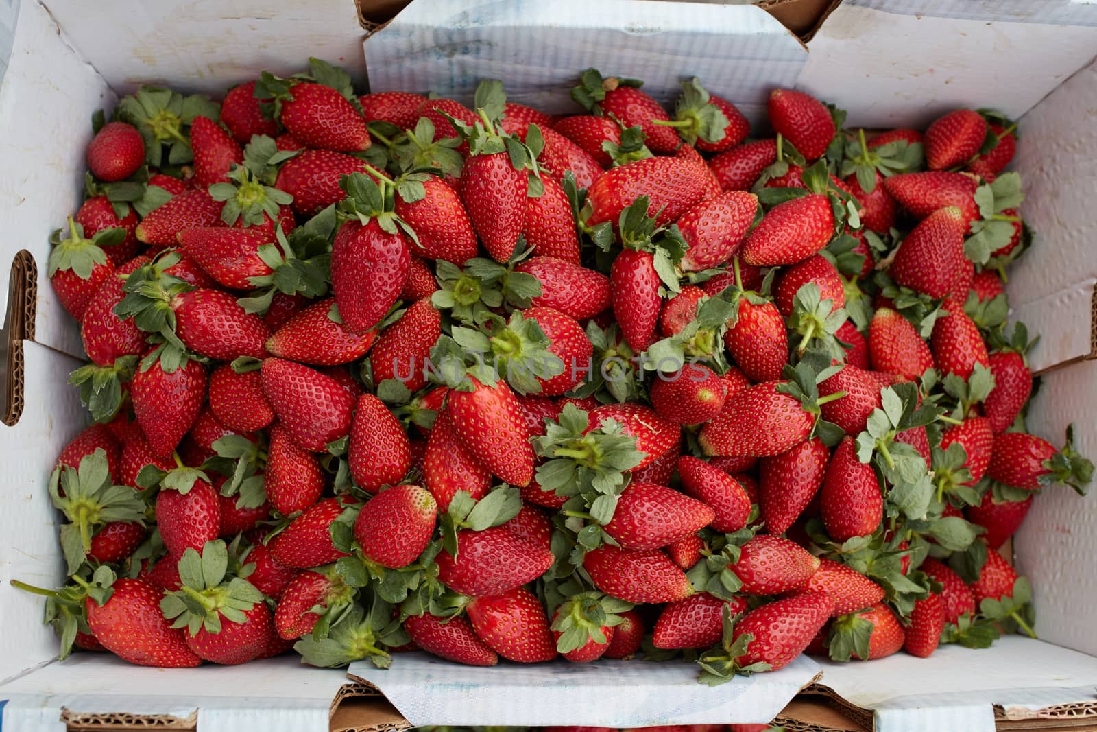 Strawberry in a box