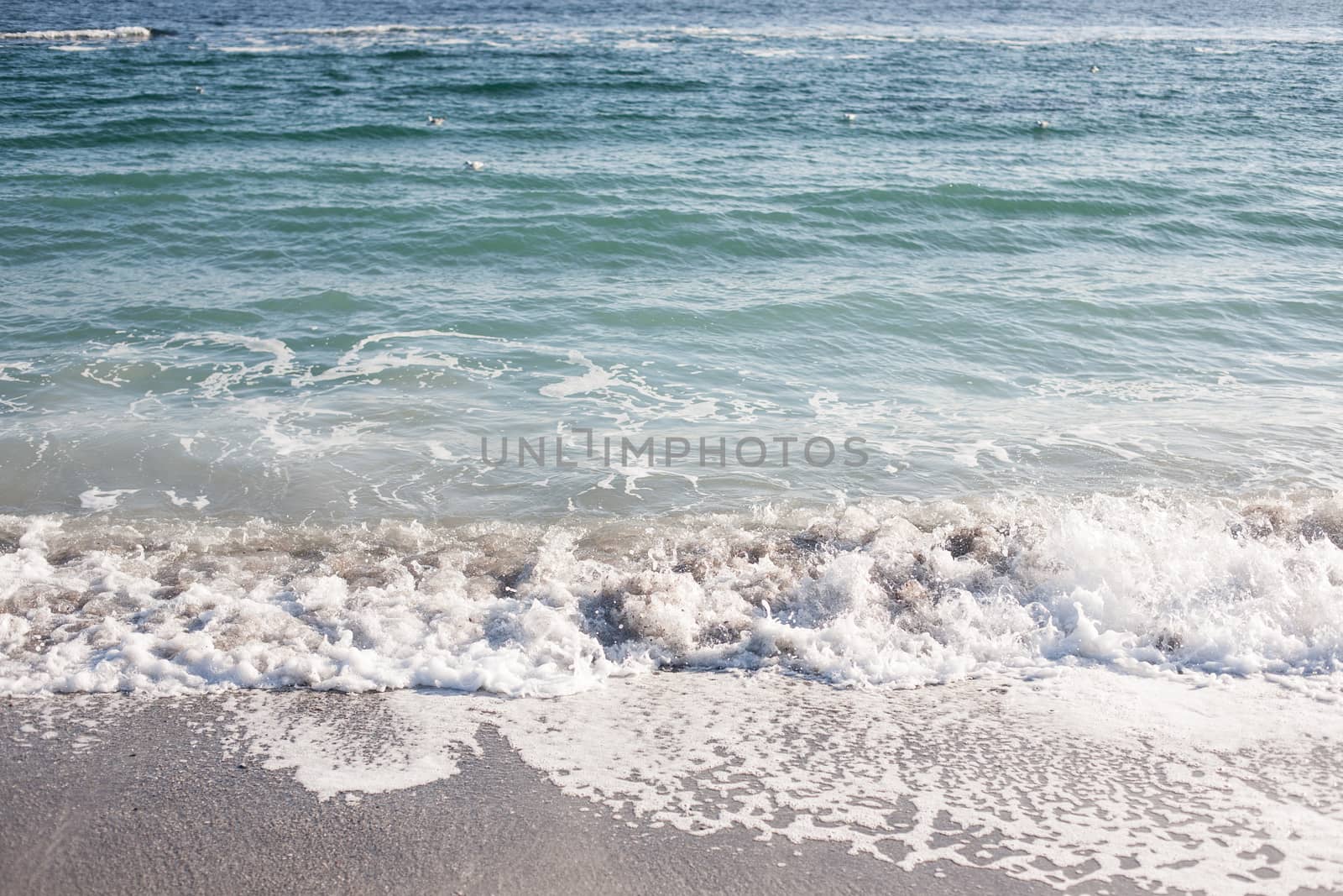 Soft wave of Black sea on sandy beach. Nature Background