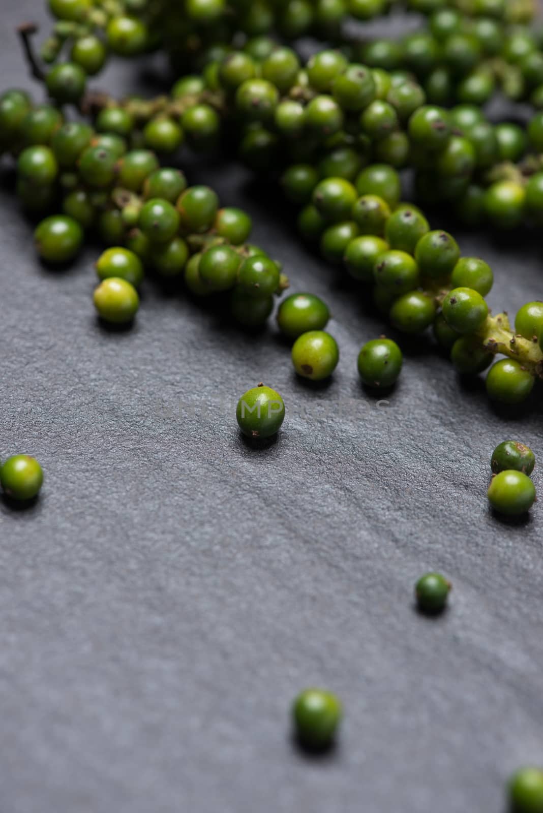 Fresh green pepper on dark background. by makidotvn