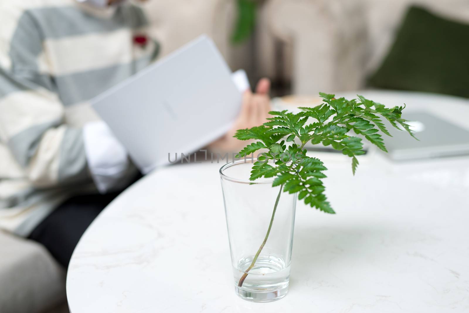 Asian entrepreneur reading book during coffee break with focus on plant.