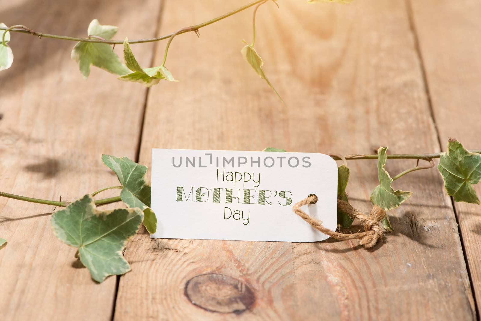 Mothers Day. Tag paper with color flowers on wooden background. Top view. Mock up