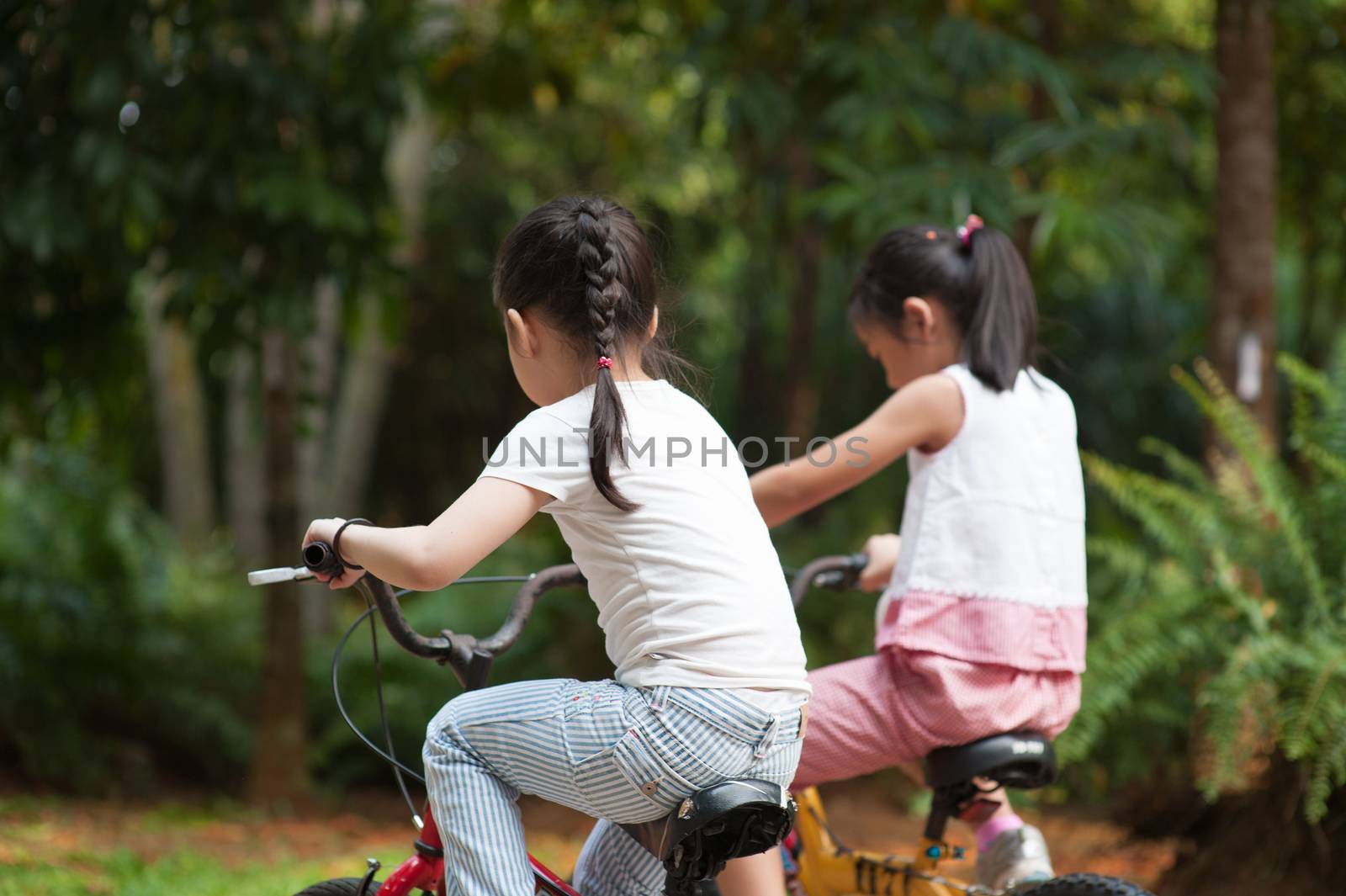 Rear view of active Asian family at nature park. Children riding bike outdoors. Morning sun flare background.