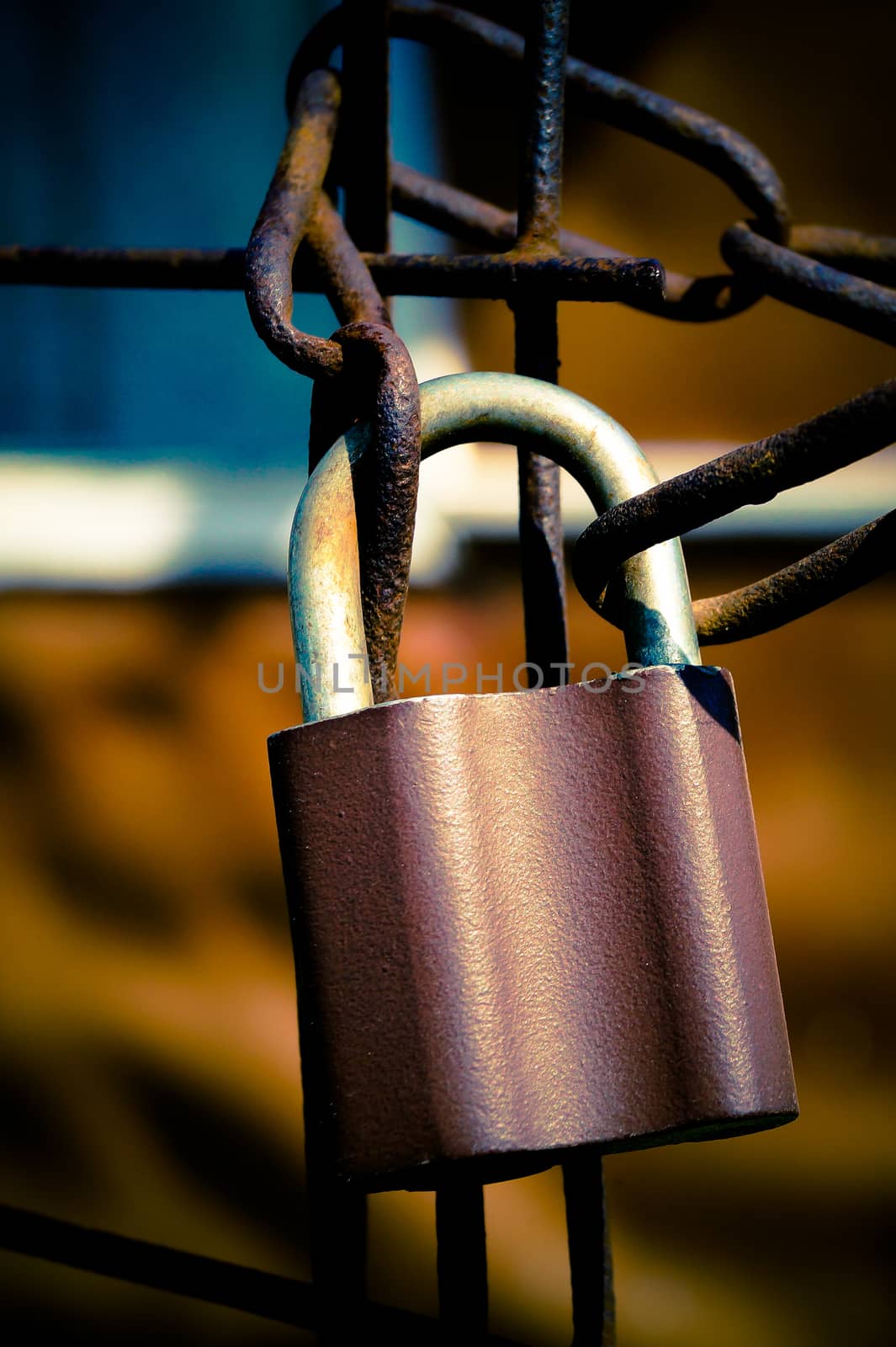 the lock on a metal chain macro photo by Oleczka11