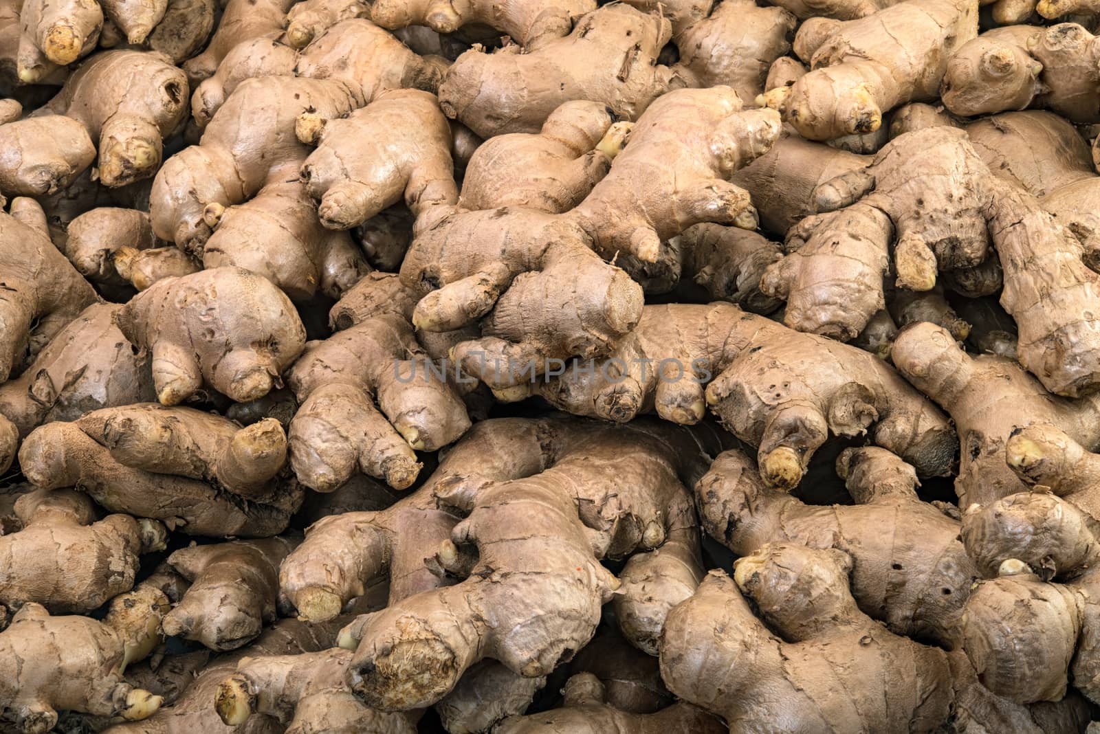 Fresh ginger roots display on sale in the fresh vegetable market