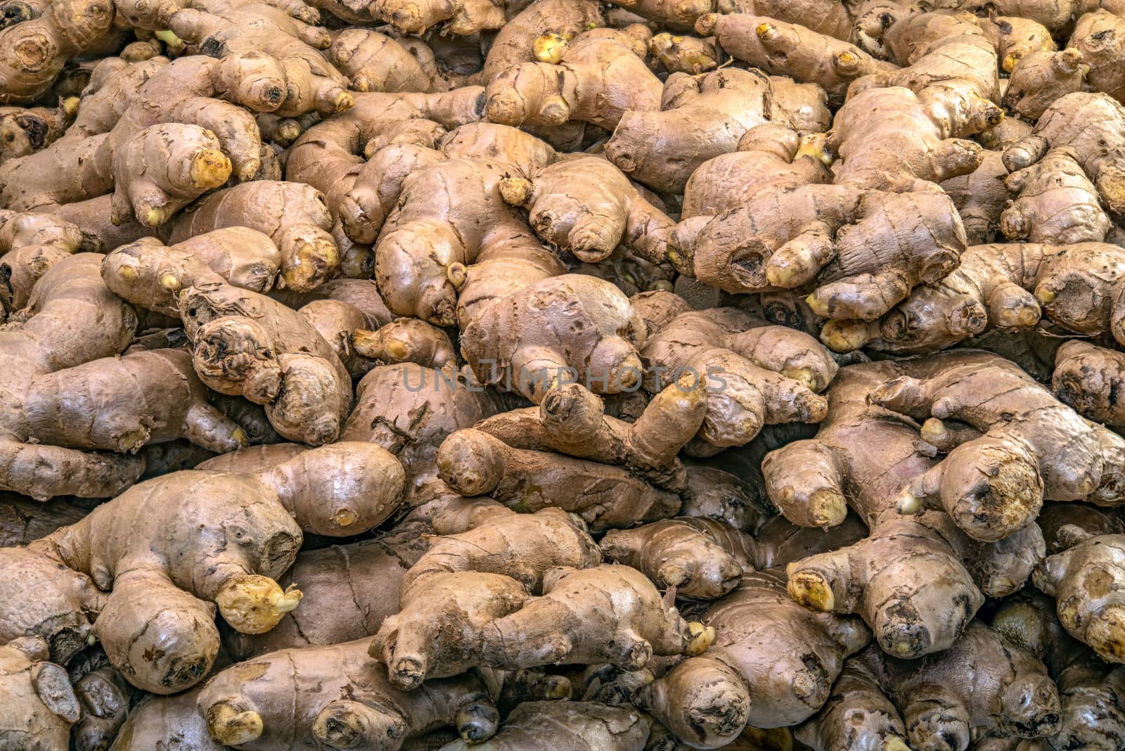 Full basket of ginger is on display for sale in the fresh vegetable market