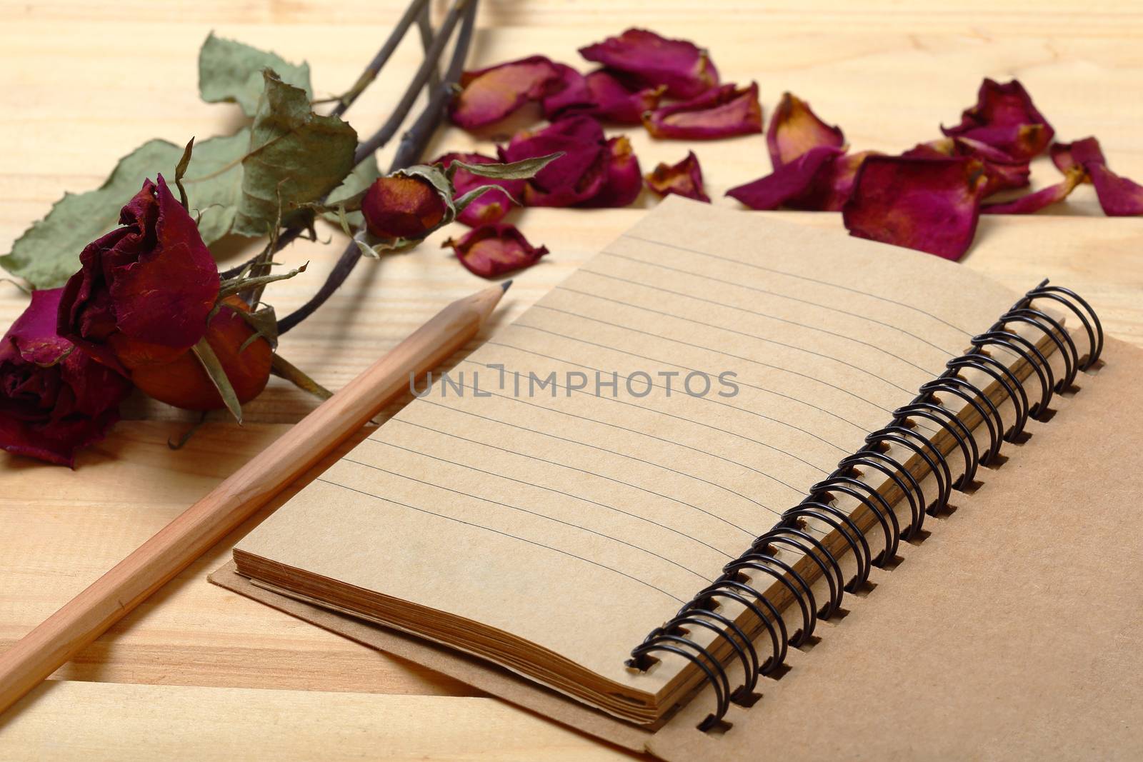 Empty notebook and dry roses with pencil on old wood by phalakon