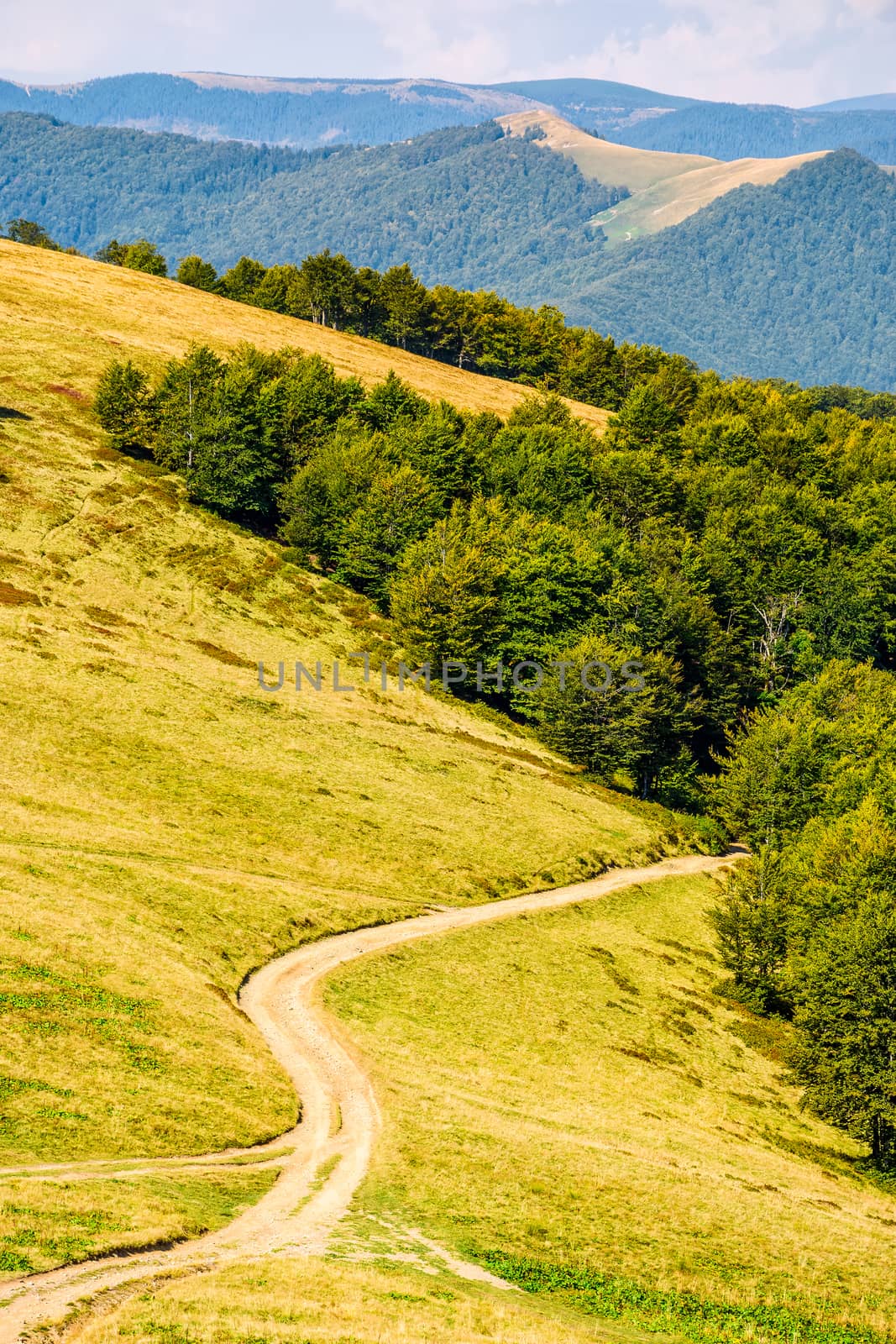 path through a meadow on mountain ridge by Pellinni