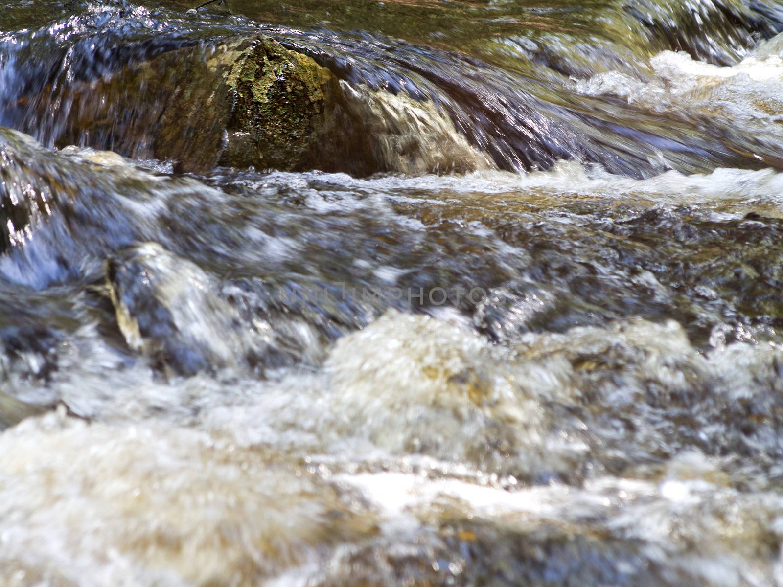 A rock with water flowing over it in a rushing river in Bear Brook State Park near Allentown, New Hampshire. 