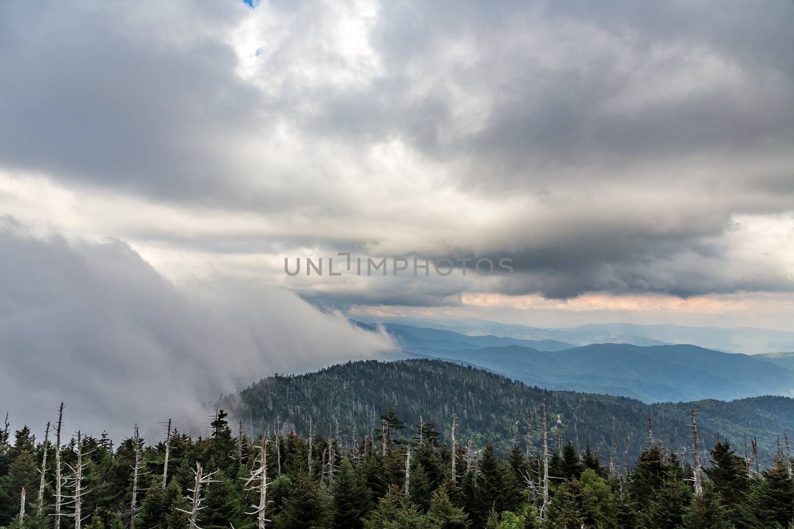 Fog at Clingman's Dome by adifferentbrian