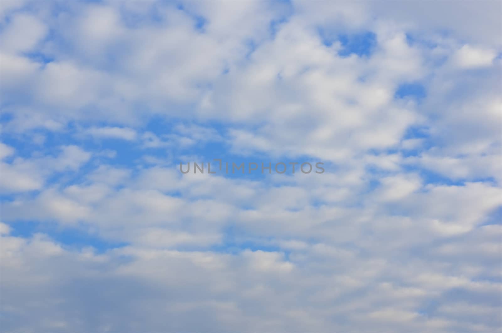 White altocumulus cloud in morning on the blue sky as background.