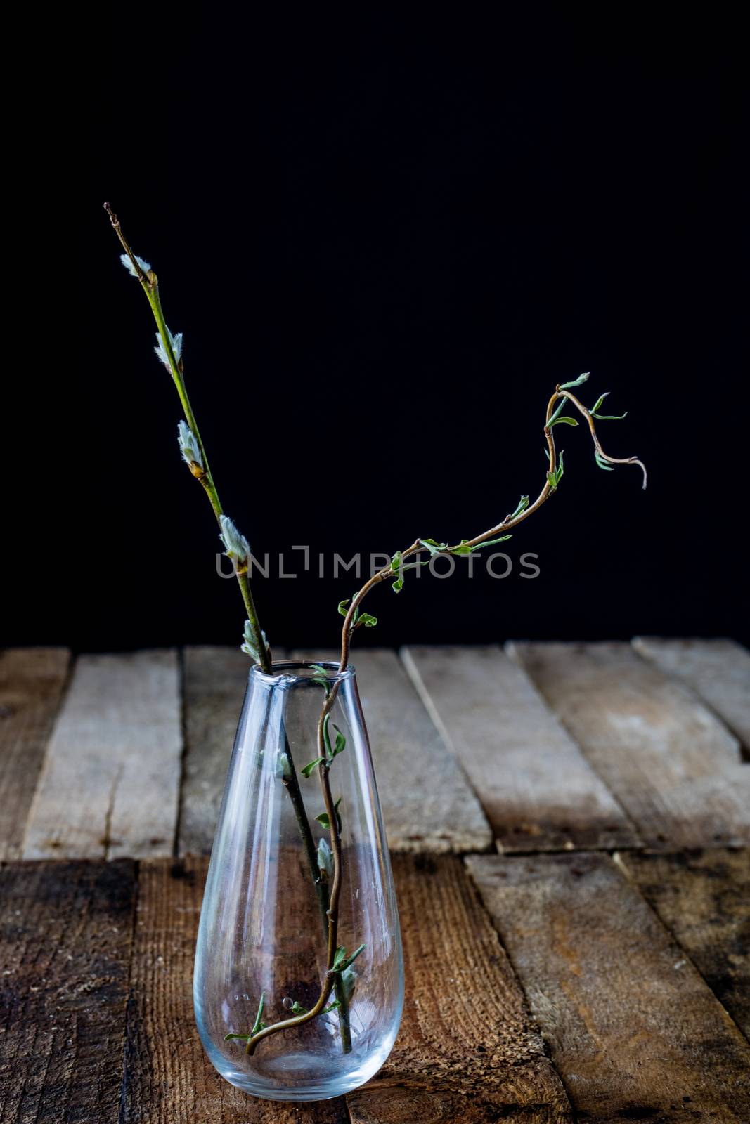 Dry flowers in a glass vase on a black background