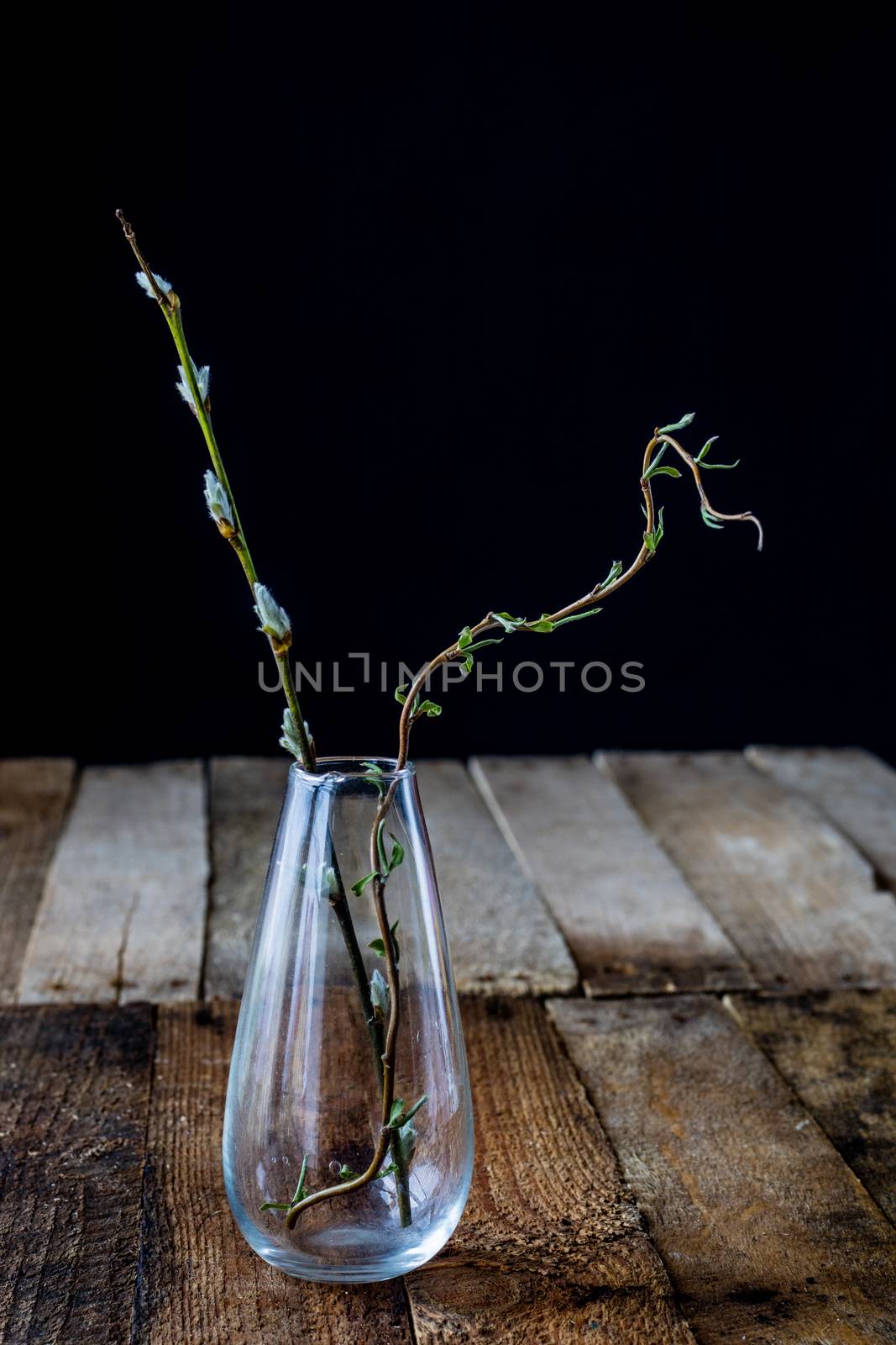 Dry flowers in a glass vase on a black background