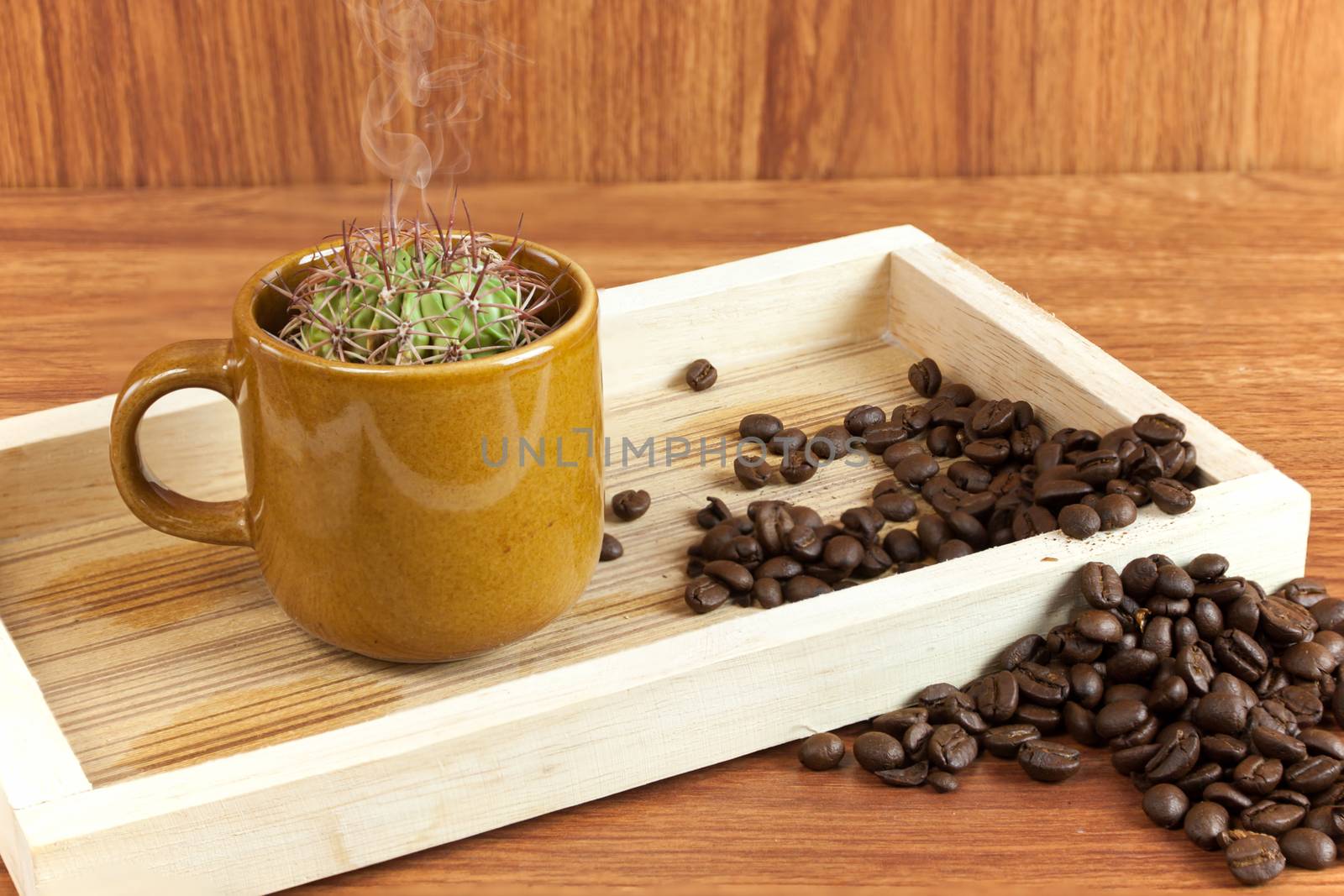 cactus in coffee cup. it is idea beverage bad taste similar options like cactus. Drink hot smoke.