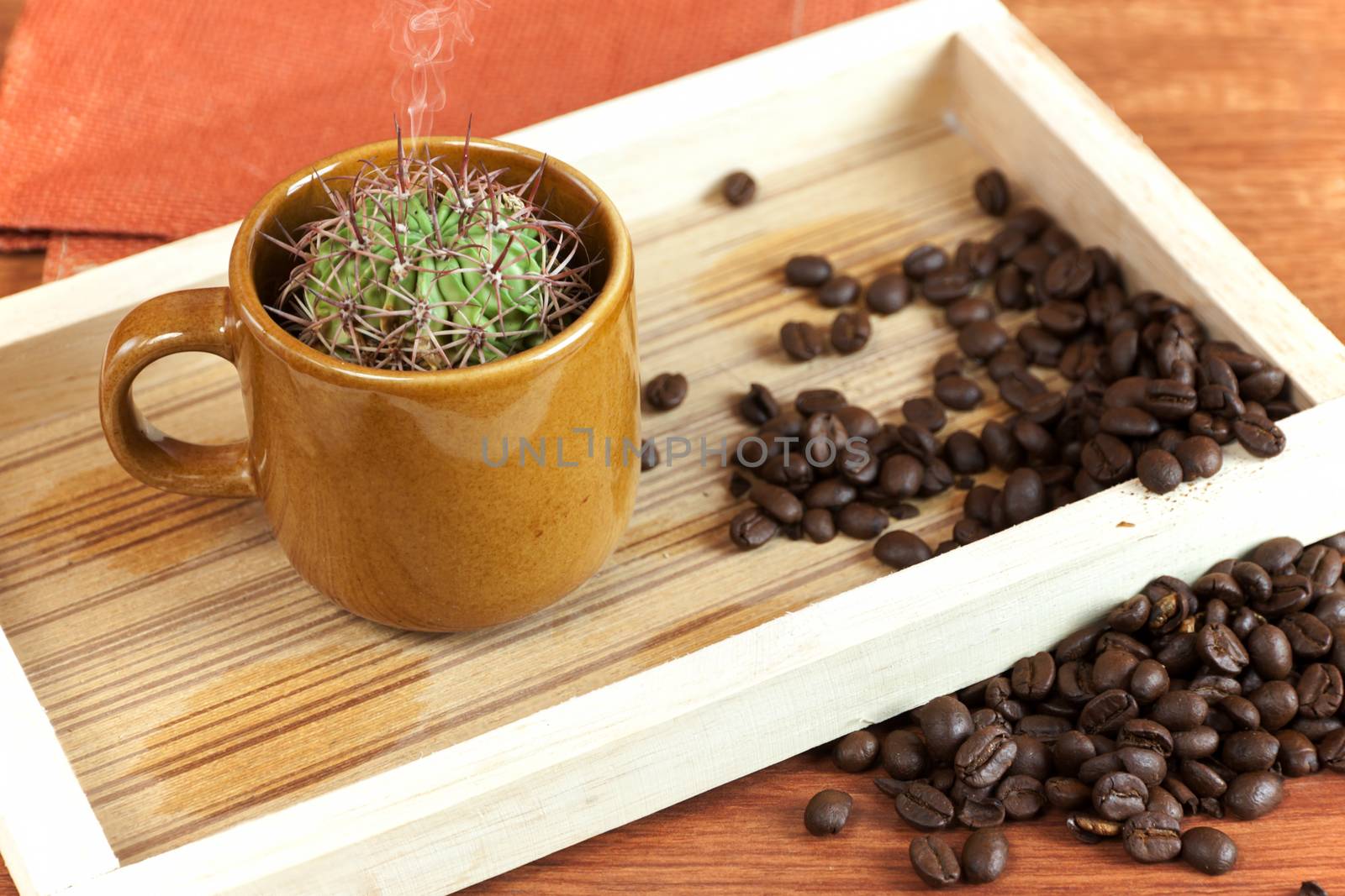 cactus in coffee cup. it is idea beverage bad taste similar options like cactus. Drink hot smoke.