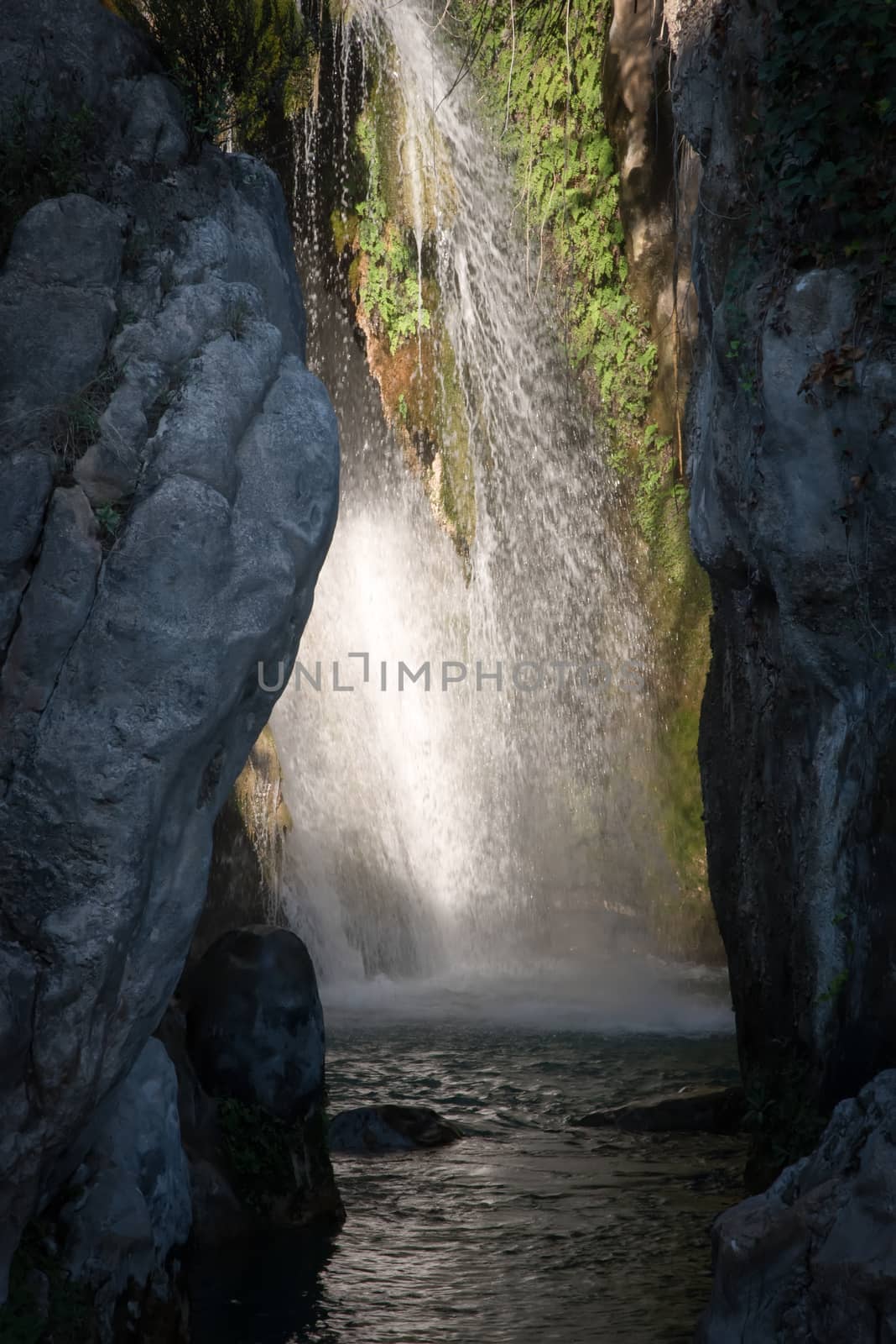 Sources of the river Algar in Callosa de Ensarria, province of Valensia , near Alicante. Spain.