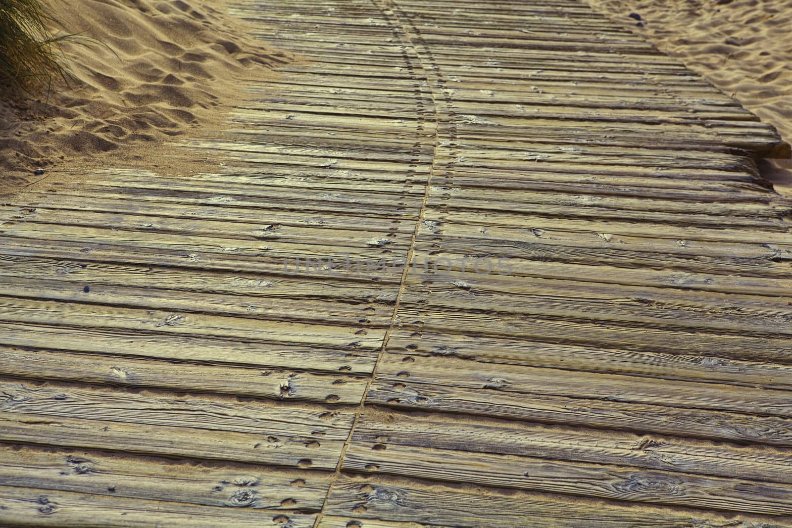 Brown wooden boards. wood texture