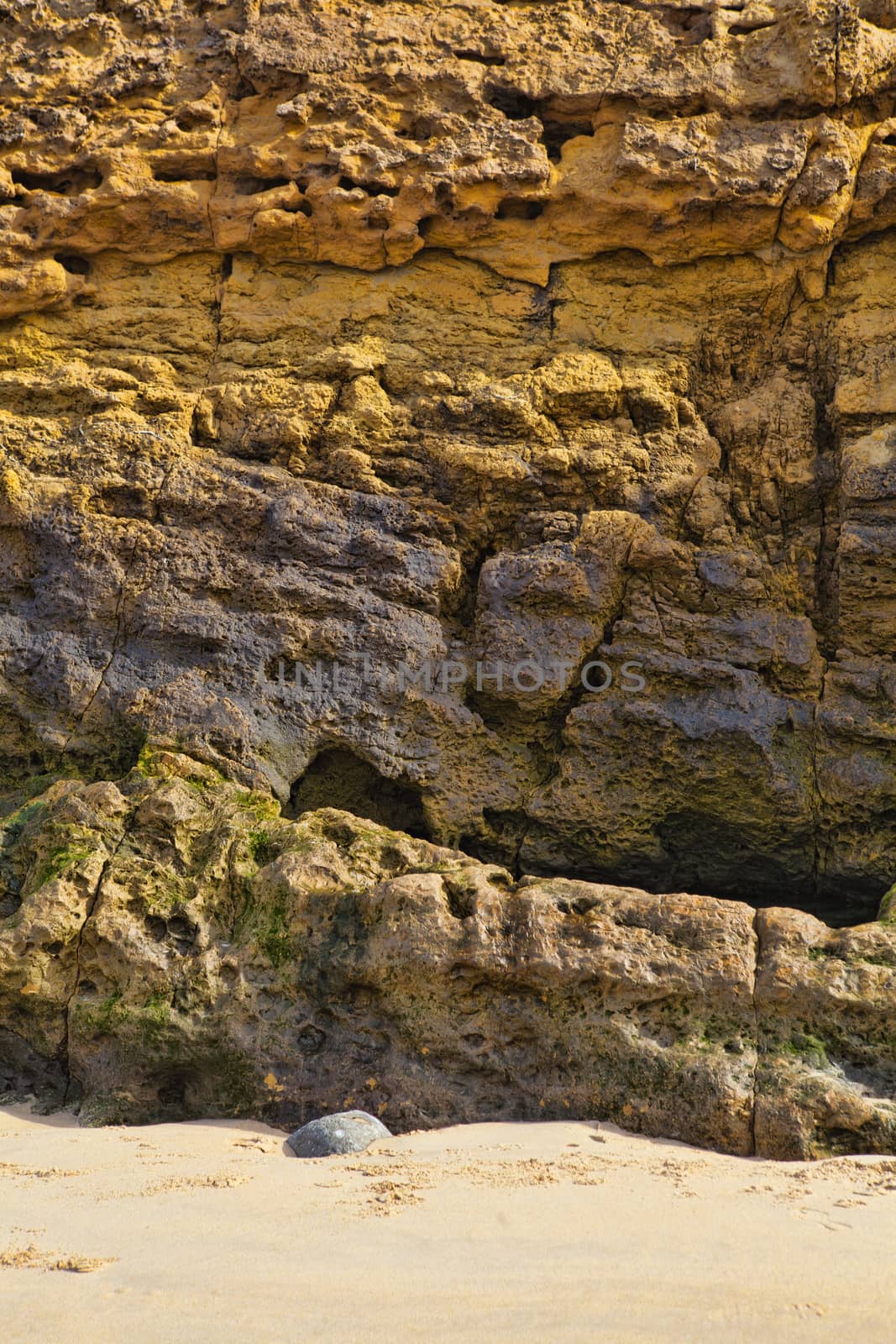 colorful texture of sea stone
