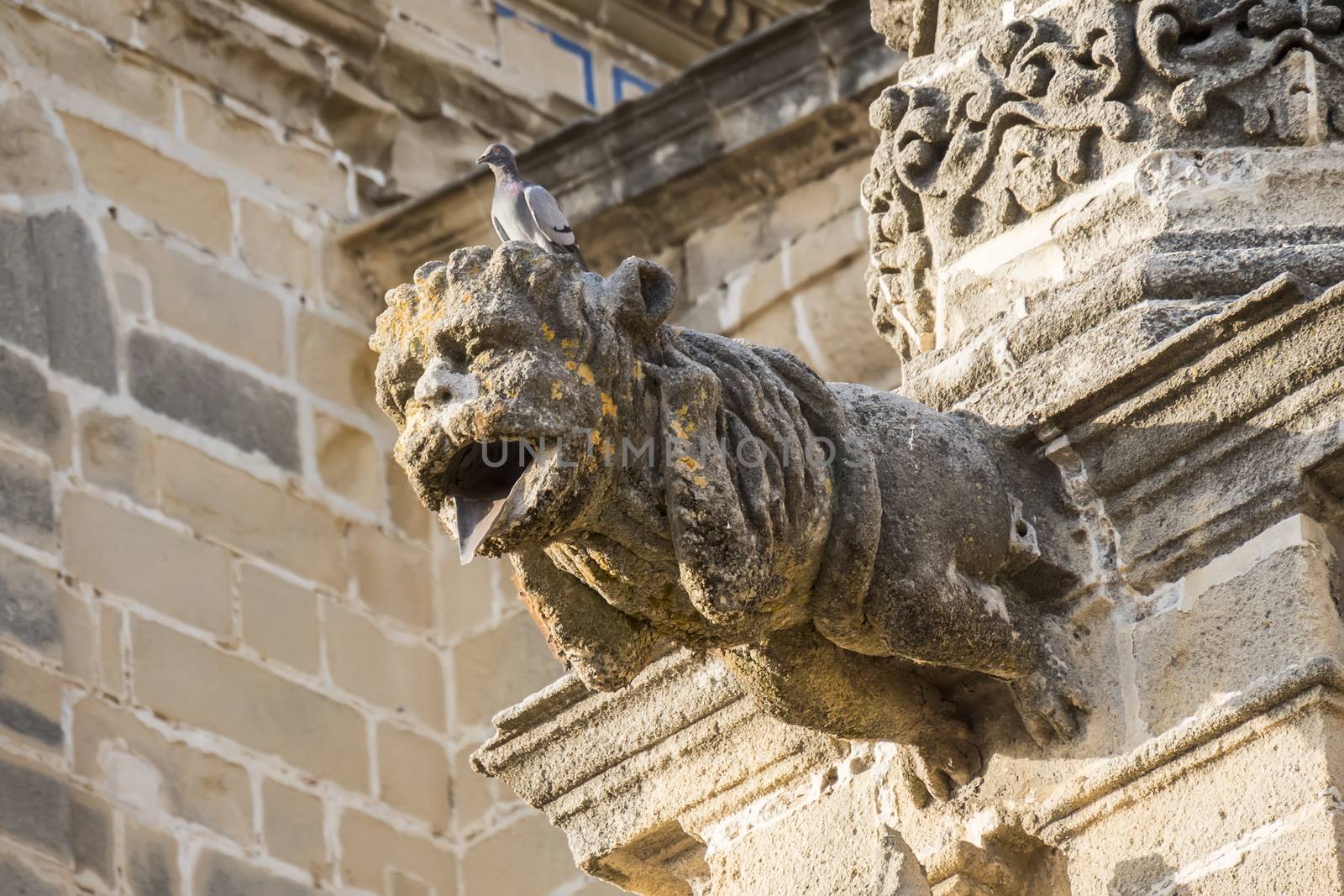 Gargoyle protruding from the facade of a cathedral