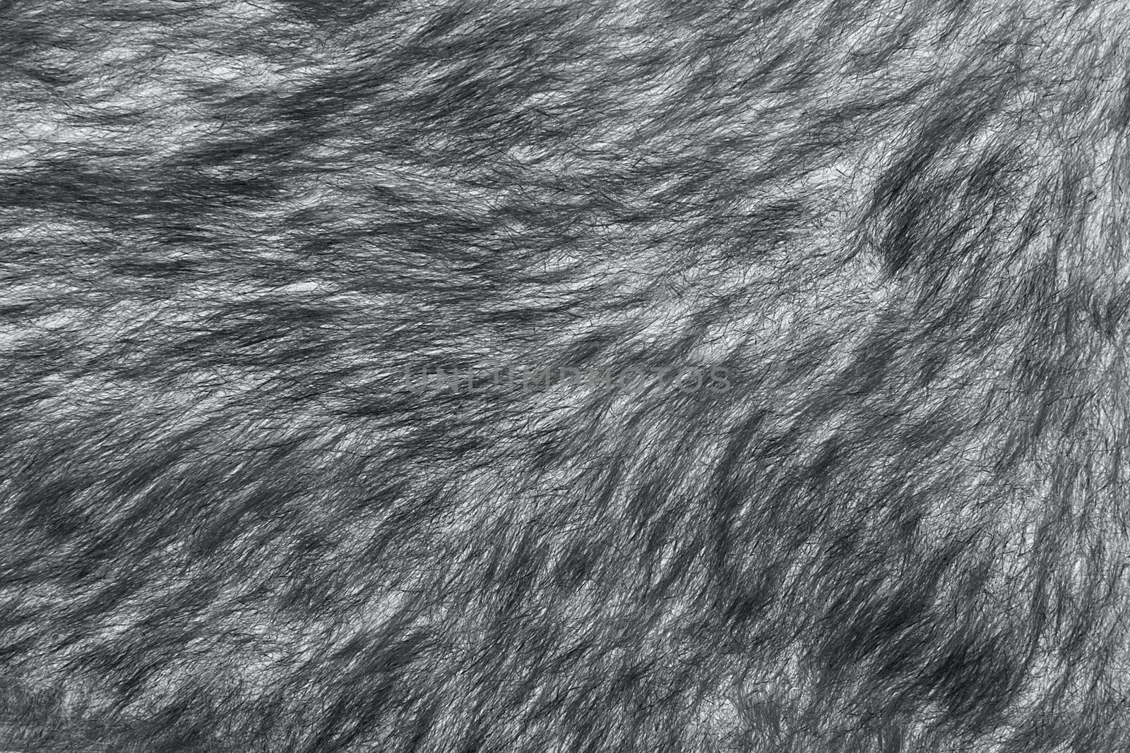 Artificial fur texture background