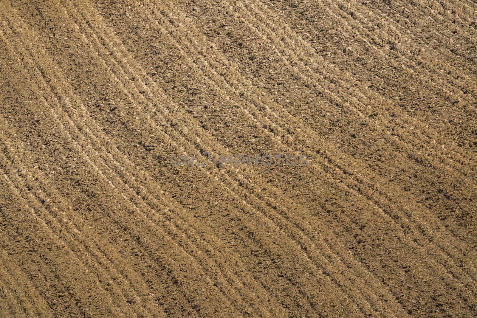 Abstract Background Agriculture Image Of A Ploughed Field