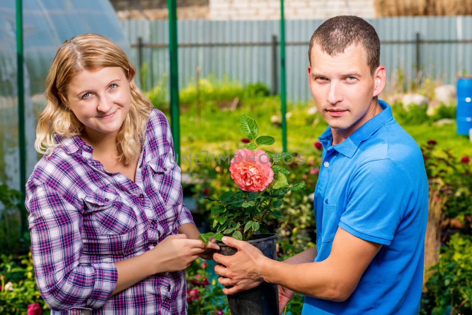 Young couple selects seedlings of flowers in the nursery by kosmsos111