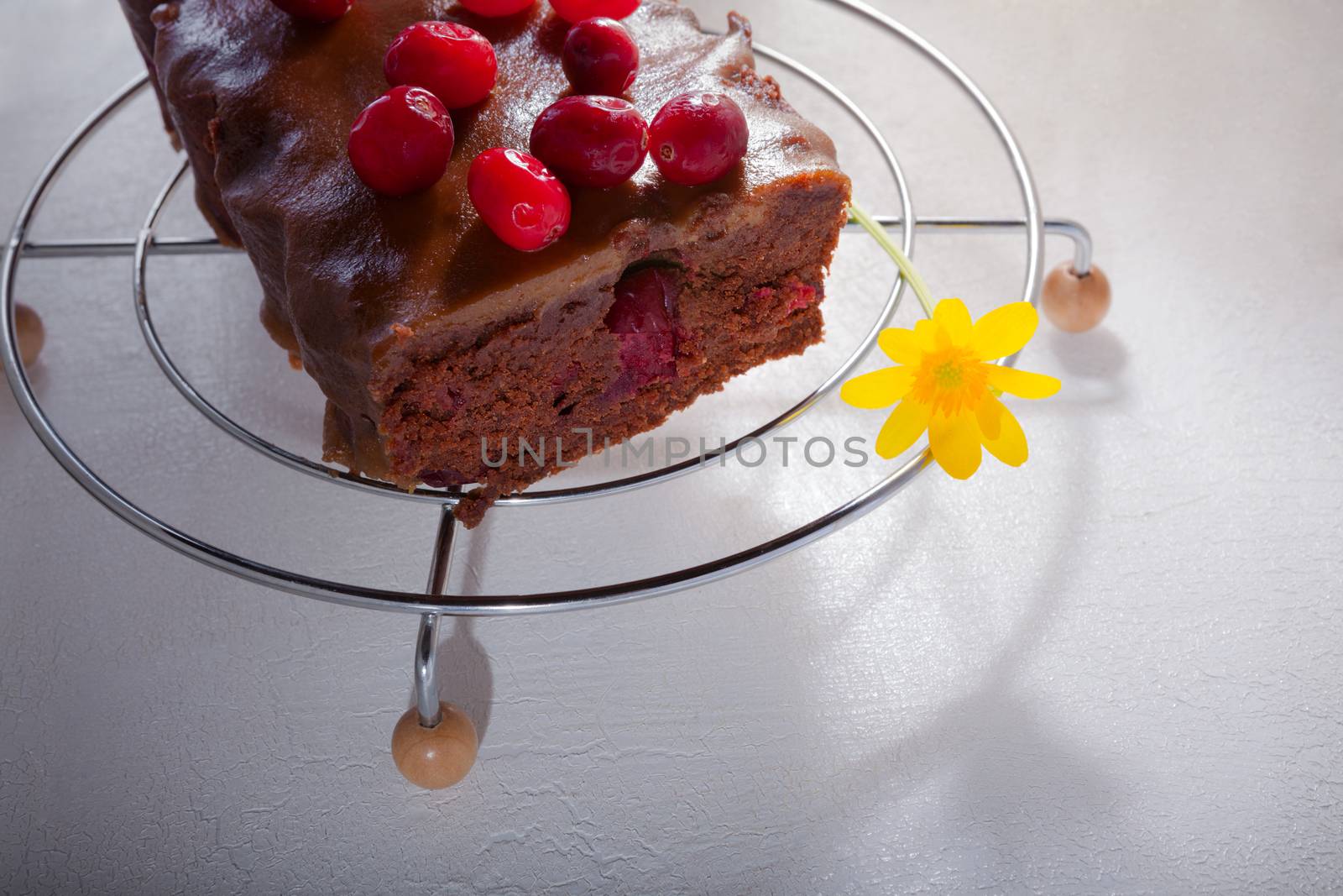 Chocolate and caramel cake with cranberries on a table