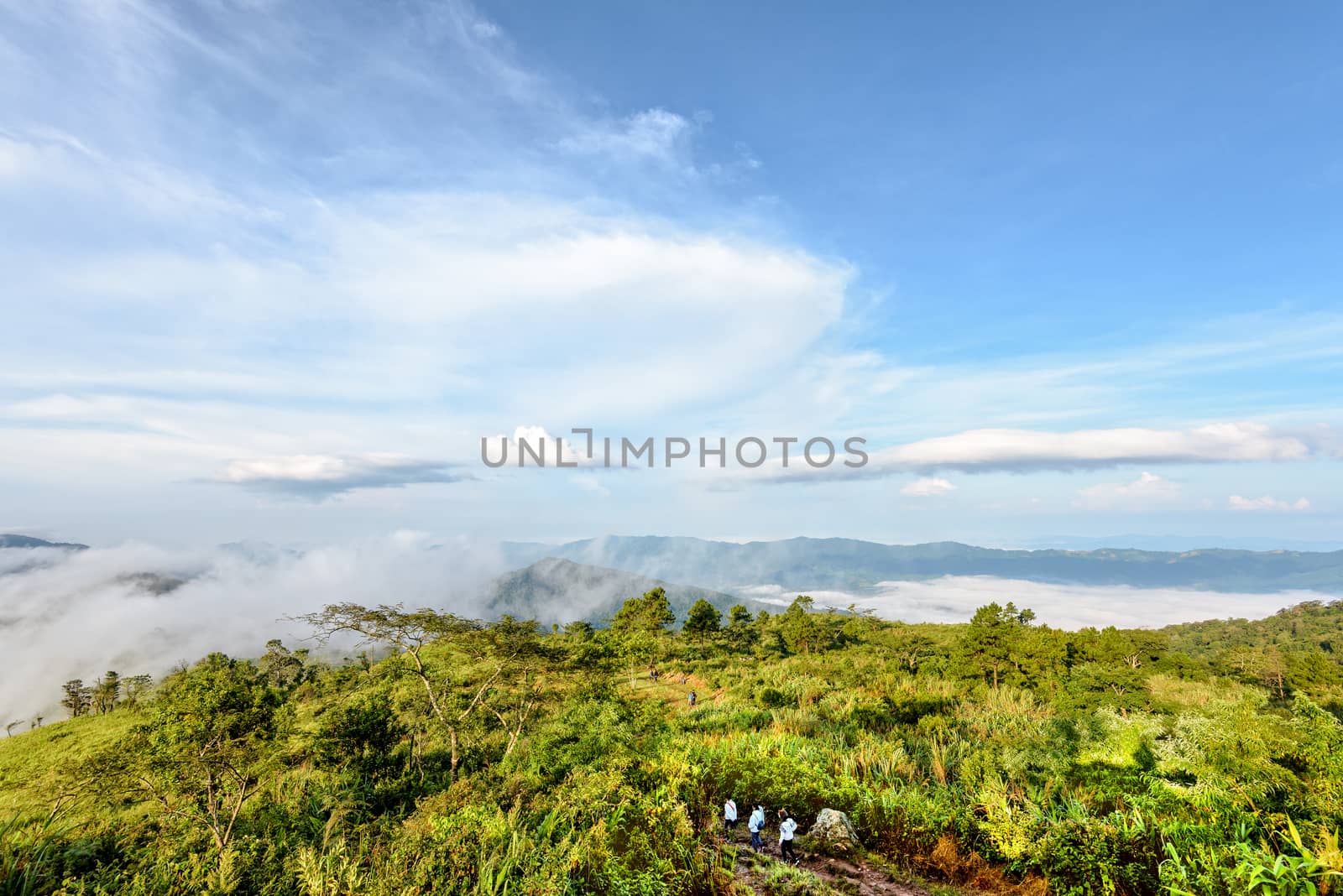 Tourists are walking on nature trails amidst the beautiful landscape of mountain range sky cloud and fog in the winter at Phu Chi Fa Forest Park, Chiang Rai Province, Thailand