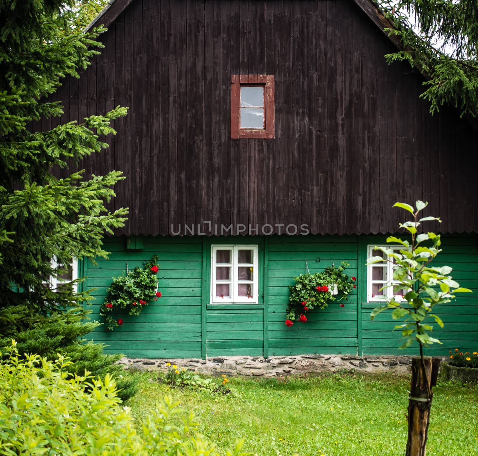 Front detail of traditional mountain cottage, brown and green by weruskak