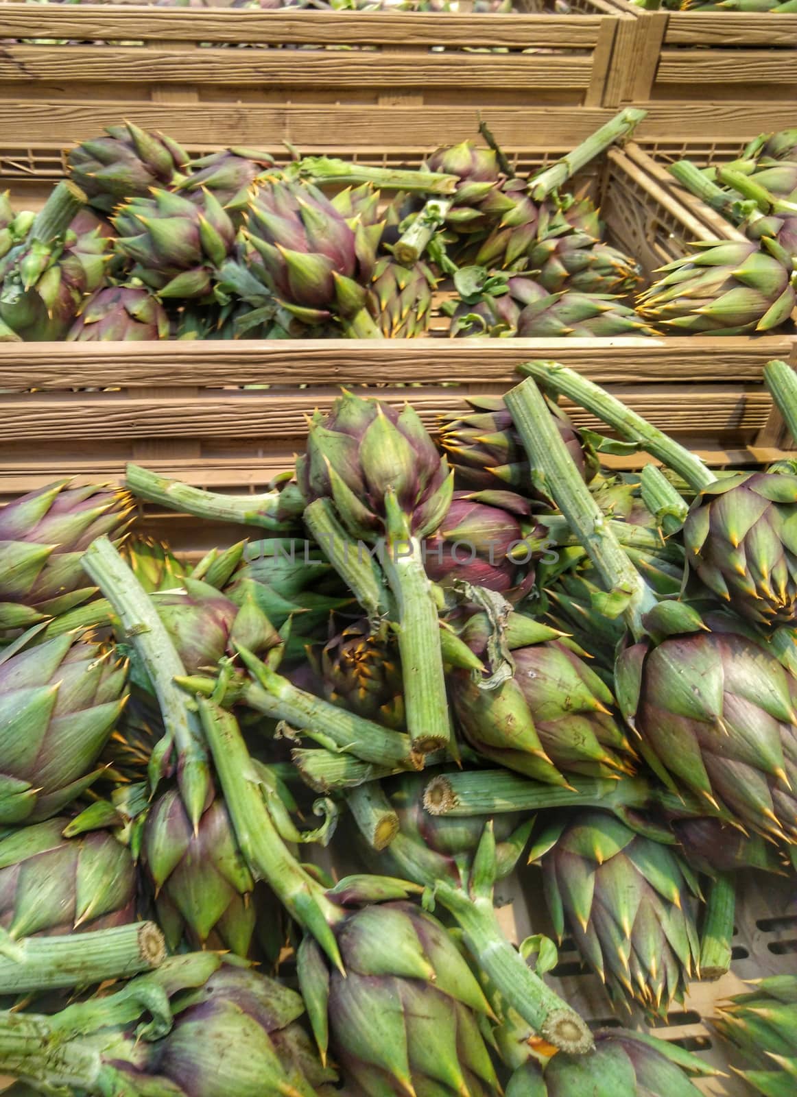 Group of raw artichokes at the market