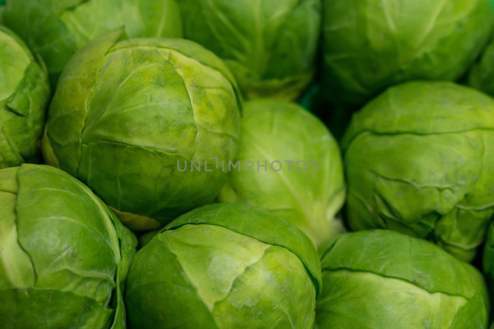 Many raw Brussels sprouts close up background