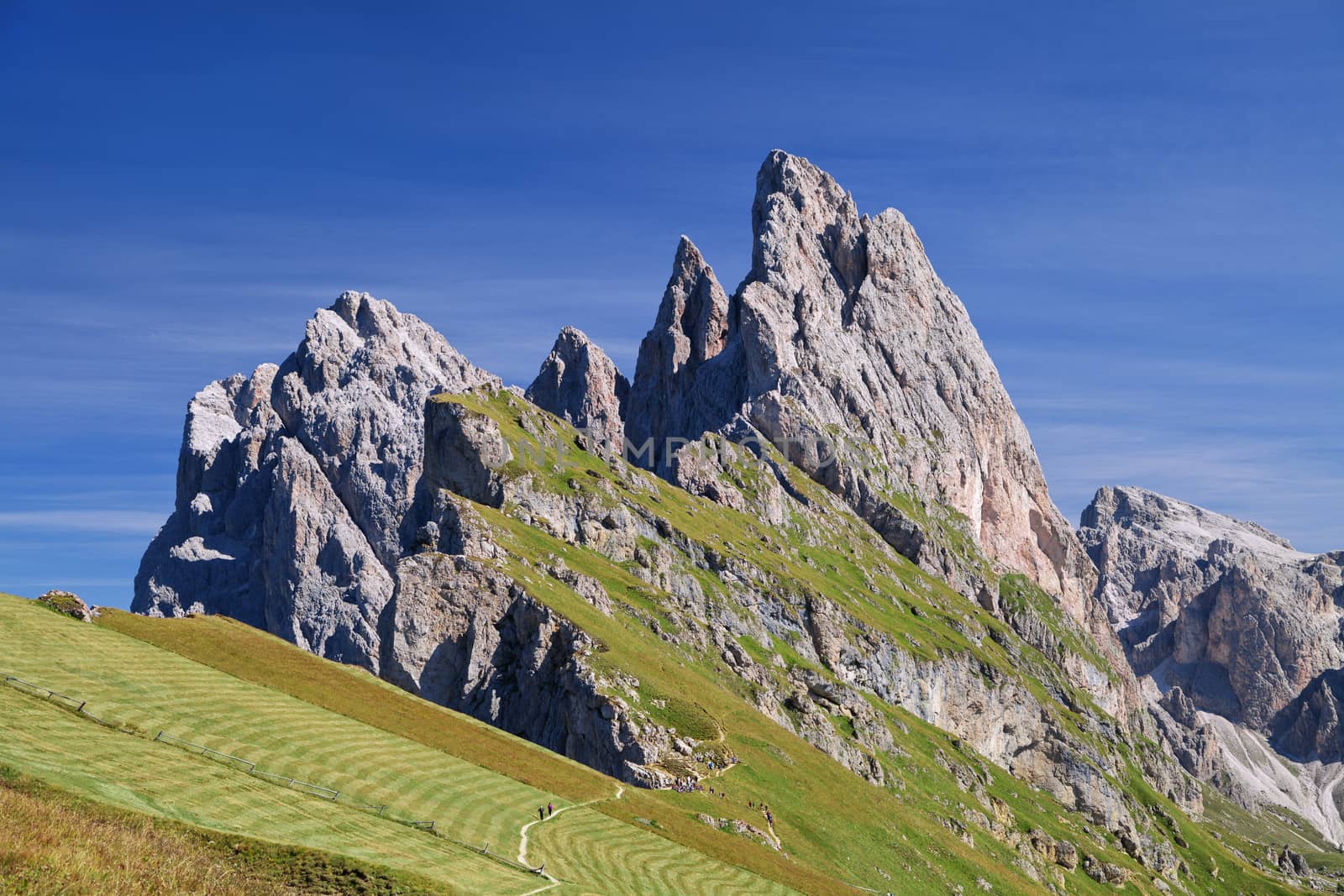 Seceda mountain on a sunny day, Dolomites, Italy