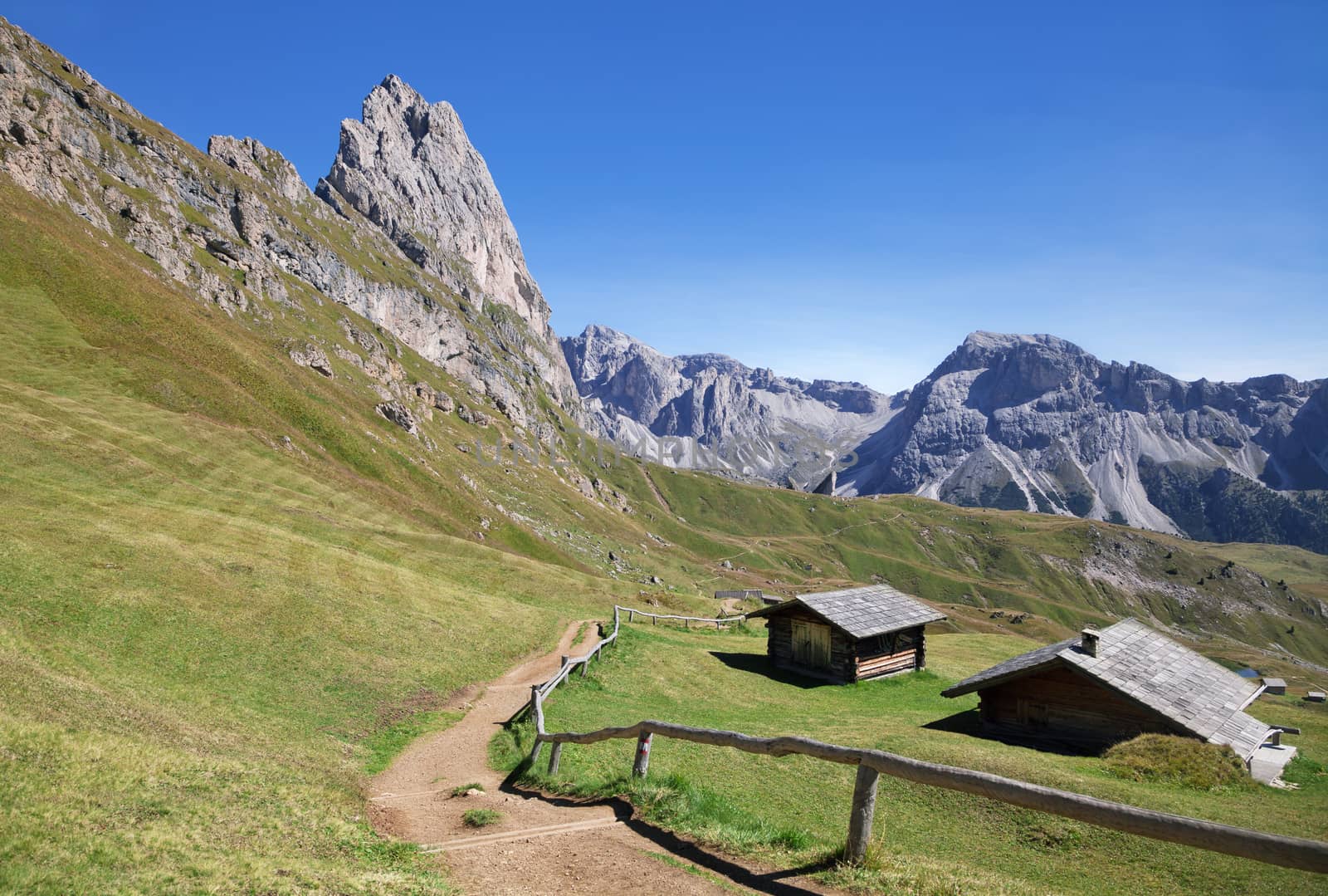 Seceda mountain on a sunny day, Dolomites, Italy