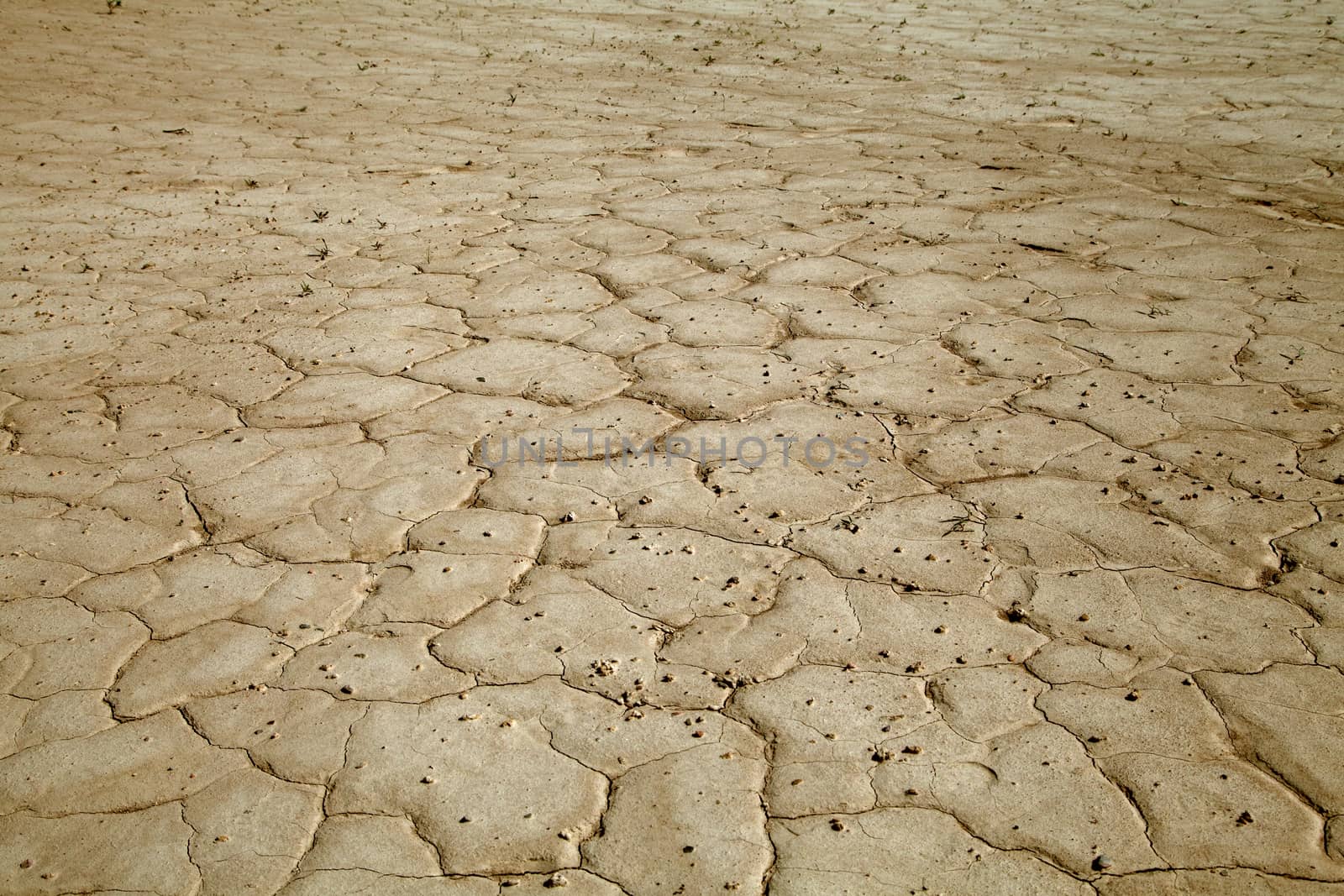 Close-up of earth cracked because of drought