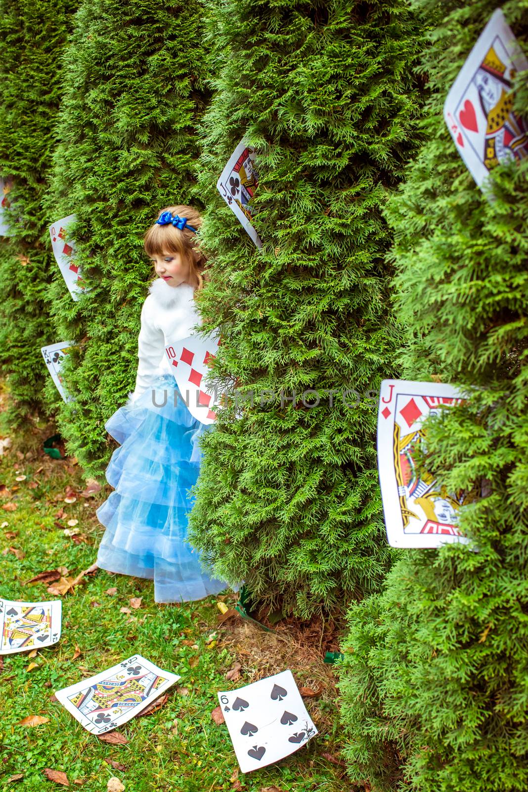 An little beautiful girl standing near the fir trees and looking down at the playing cards by okskukuruza