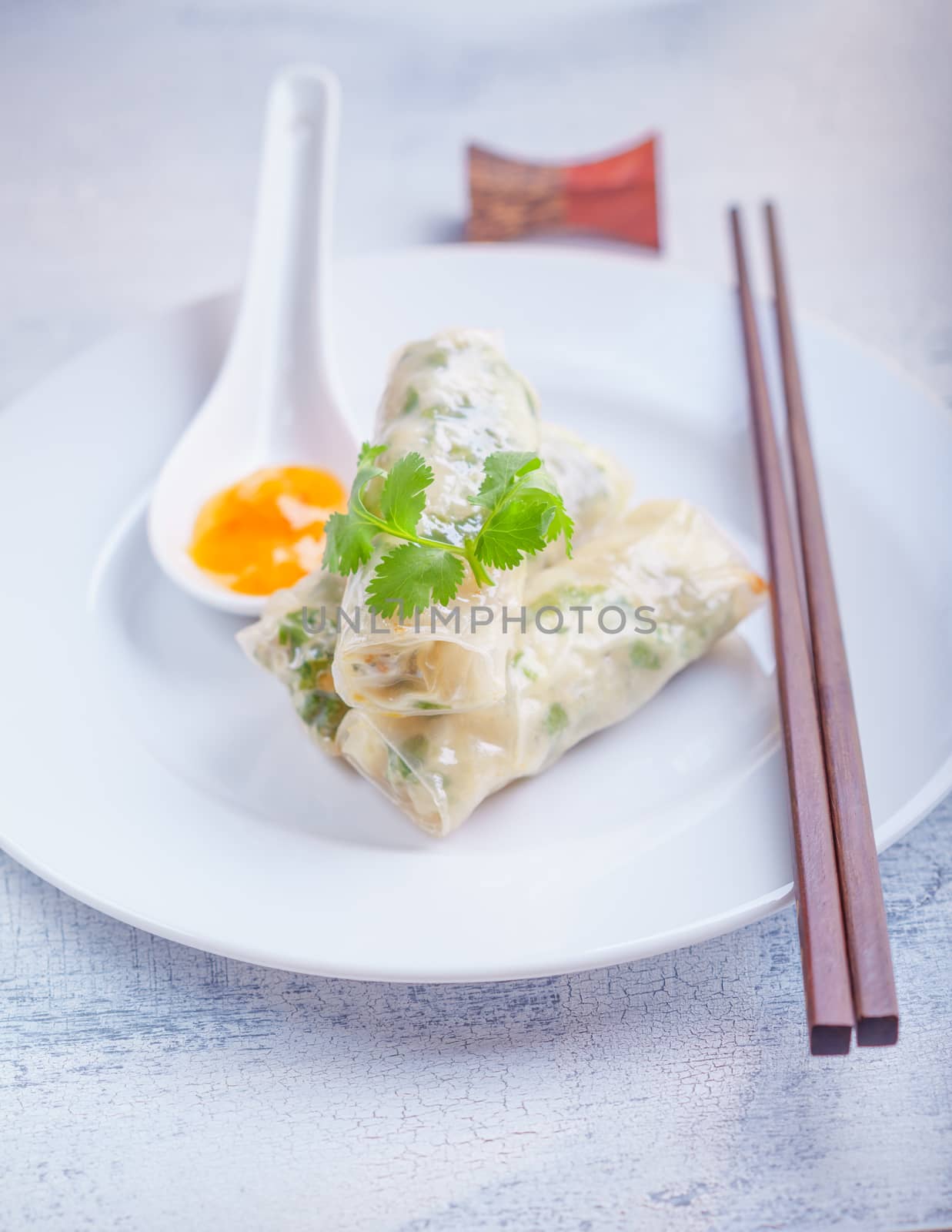 Spring Rolls with Sauce on a plate. Asian food