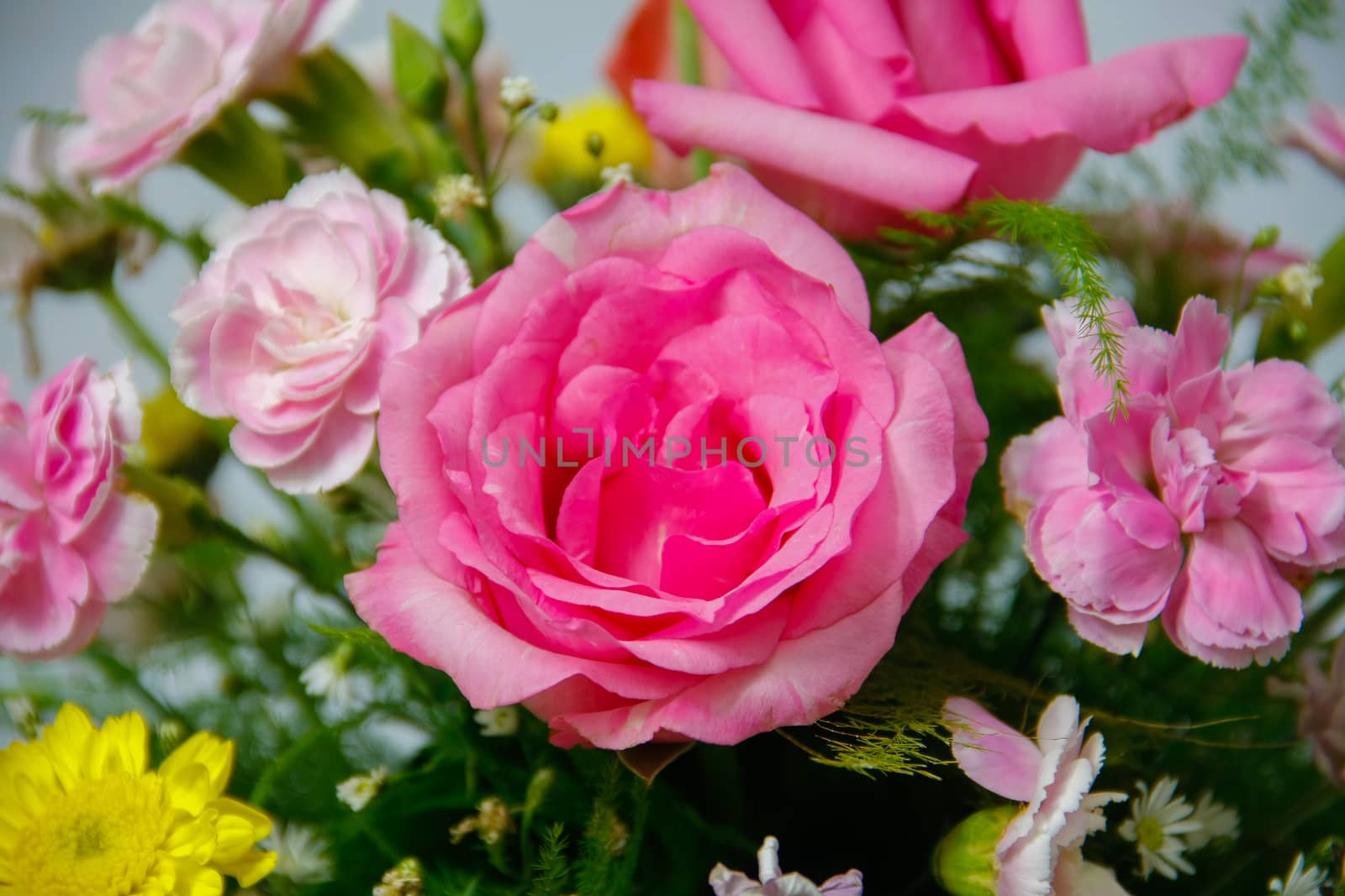 beautiful pink rose on bouquet in vase